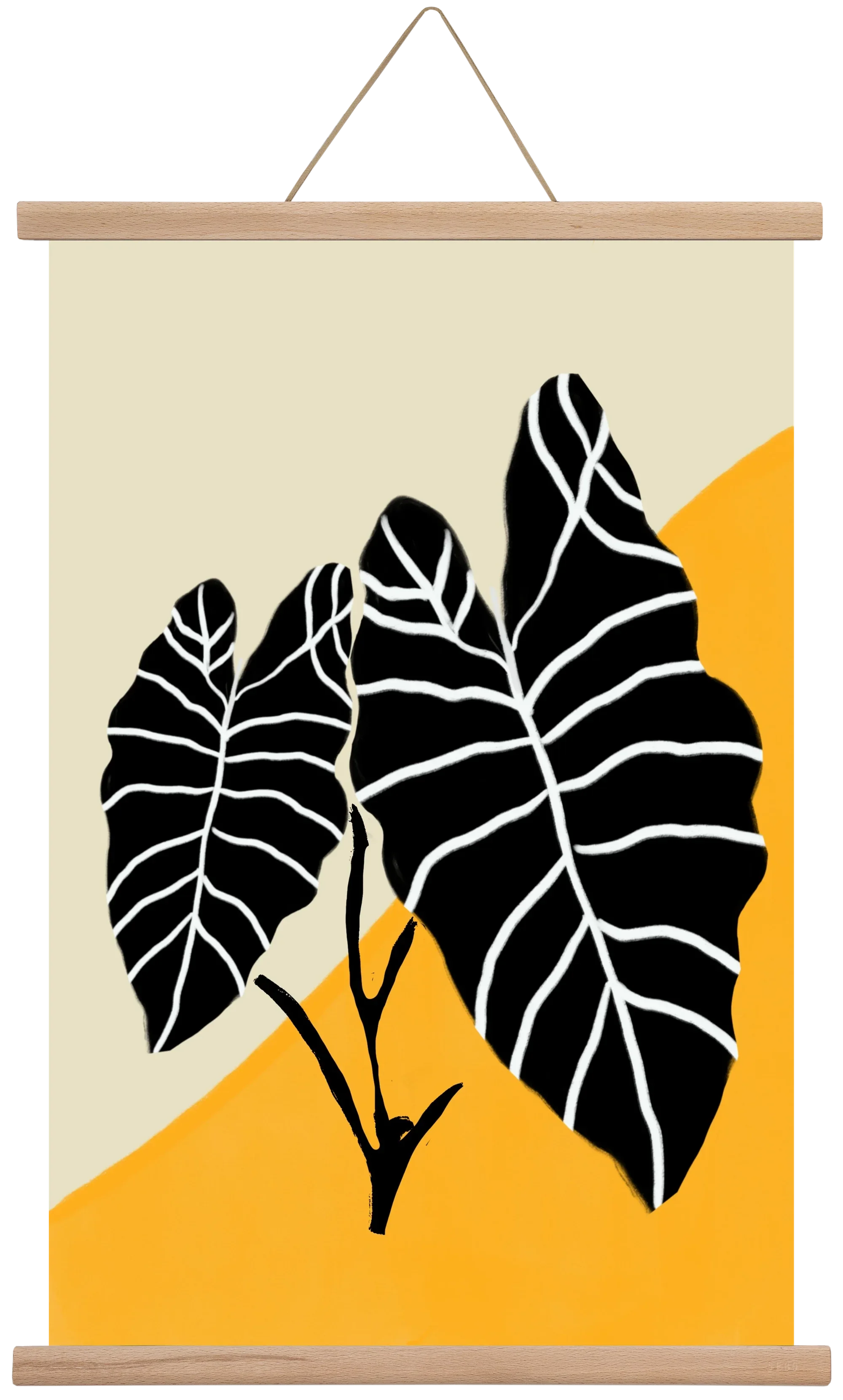 Alocasia - artbridge