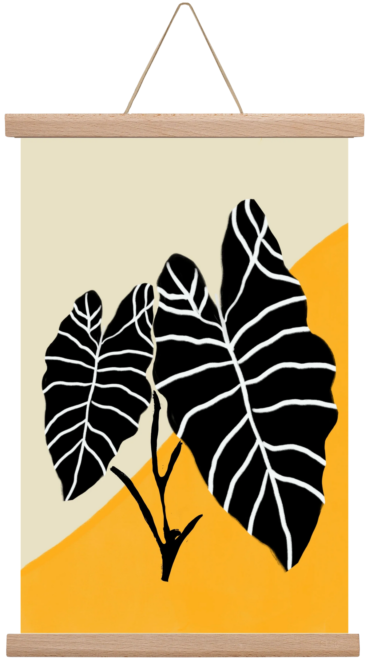 Alocasia - artbridge