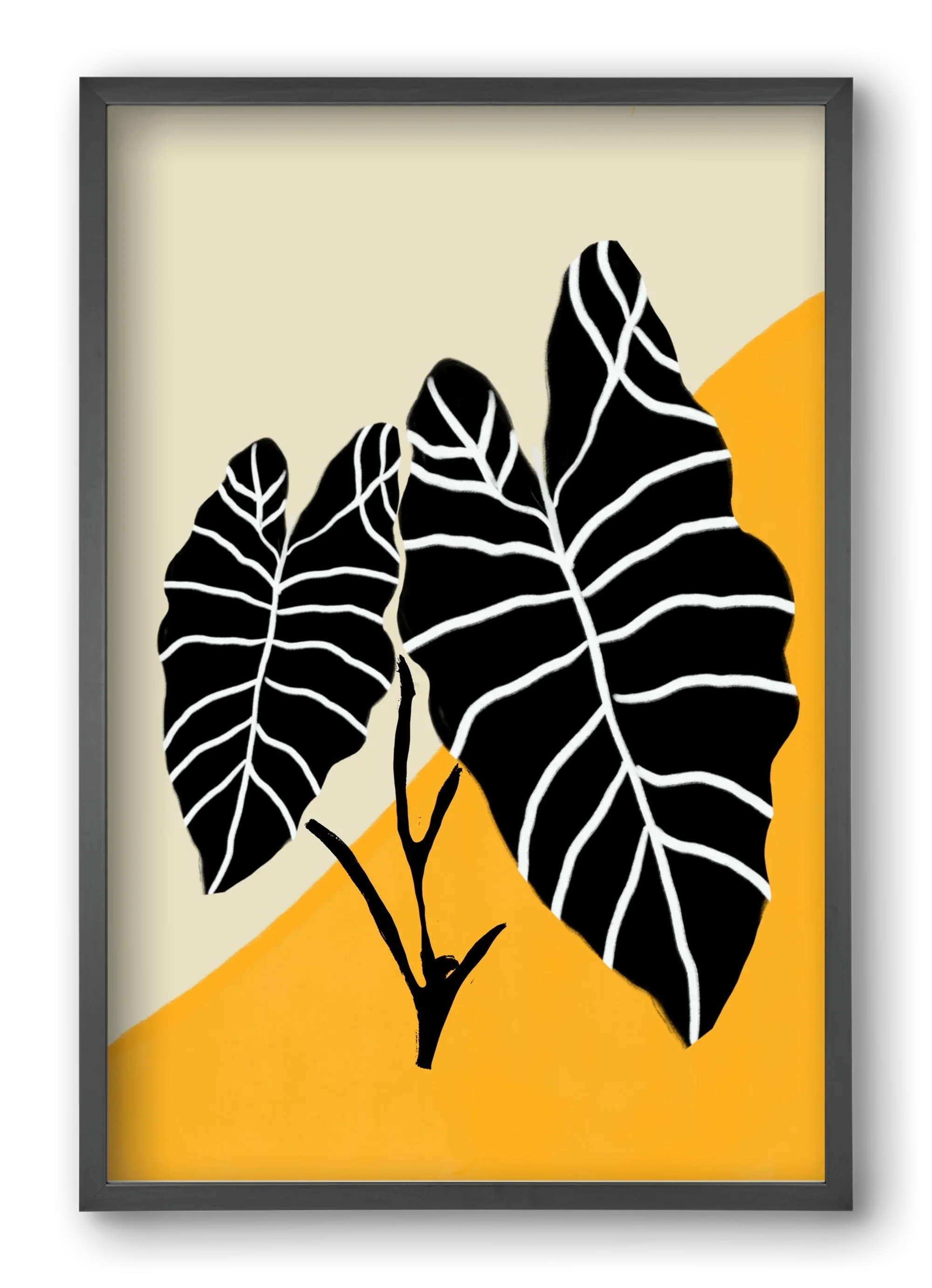 Alocasia - artbridge