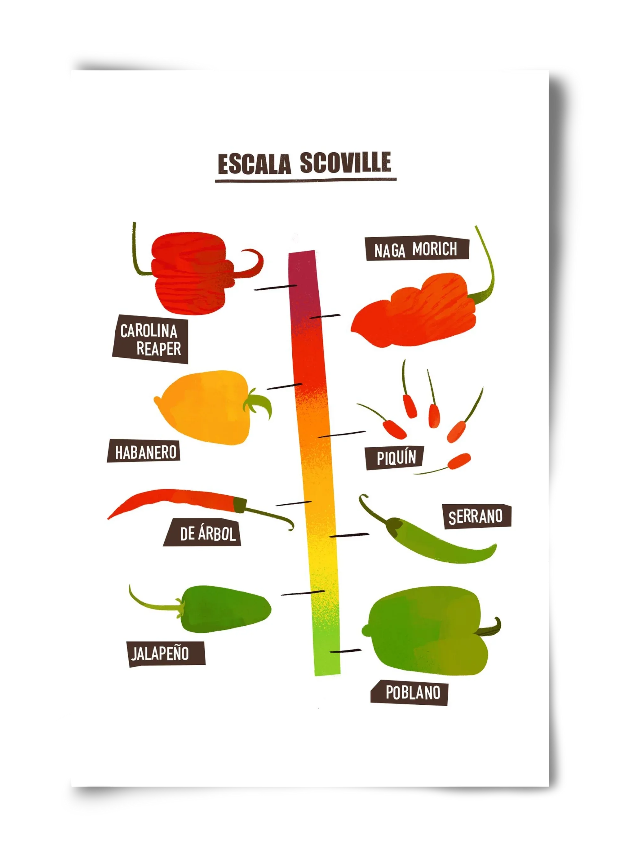 Spicy levels - artbridge