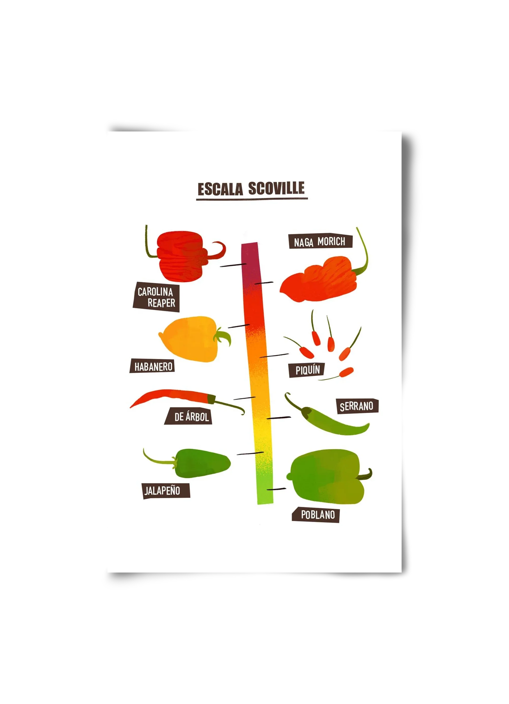 Spicy levels - artbridge