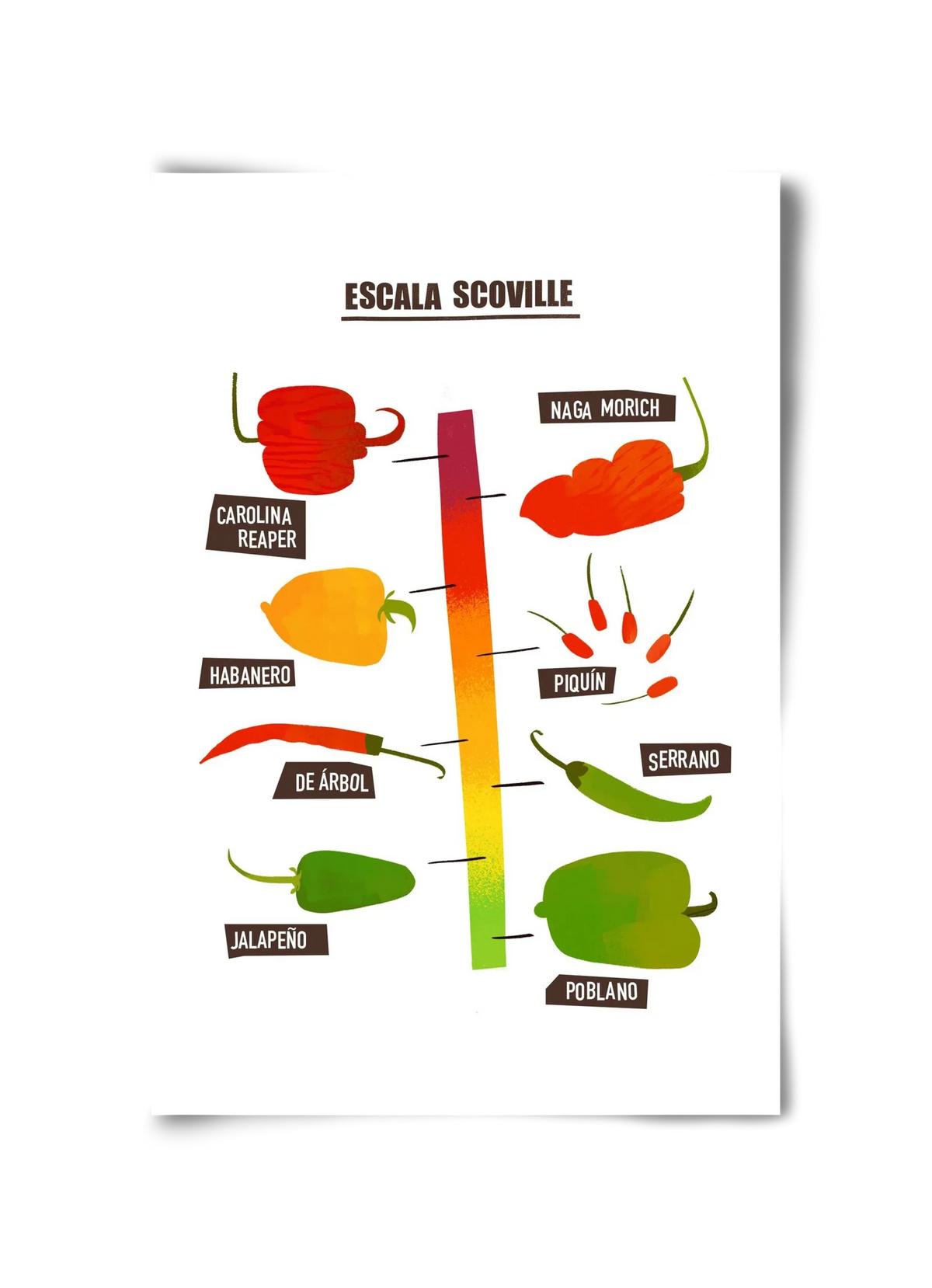 Spicy levels - artbridge
