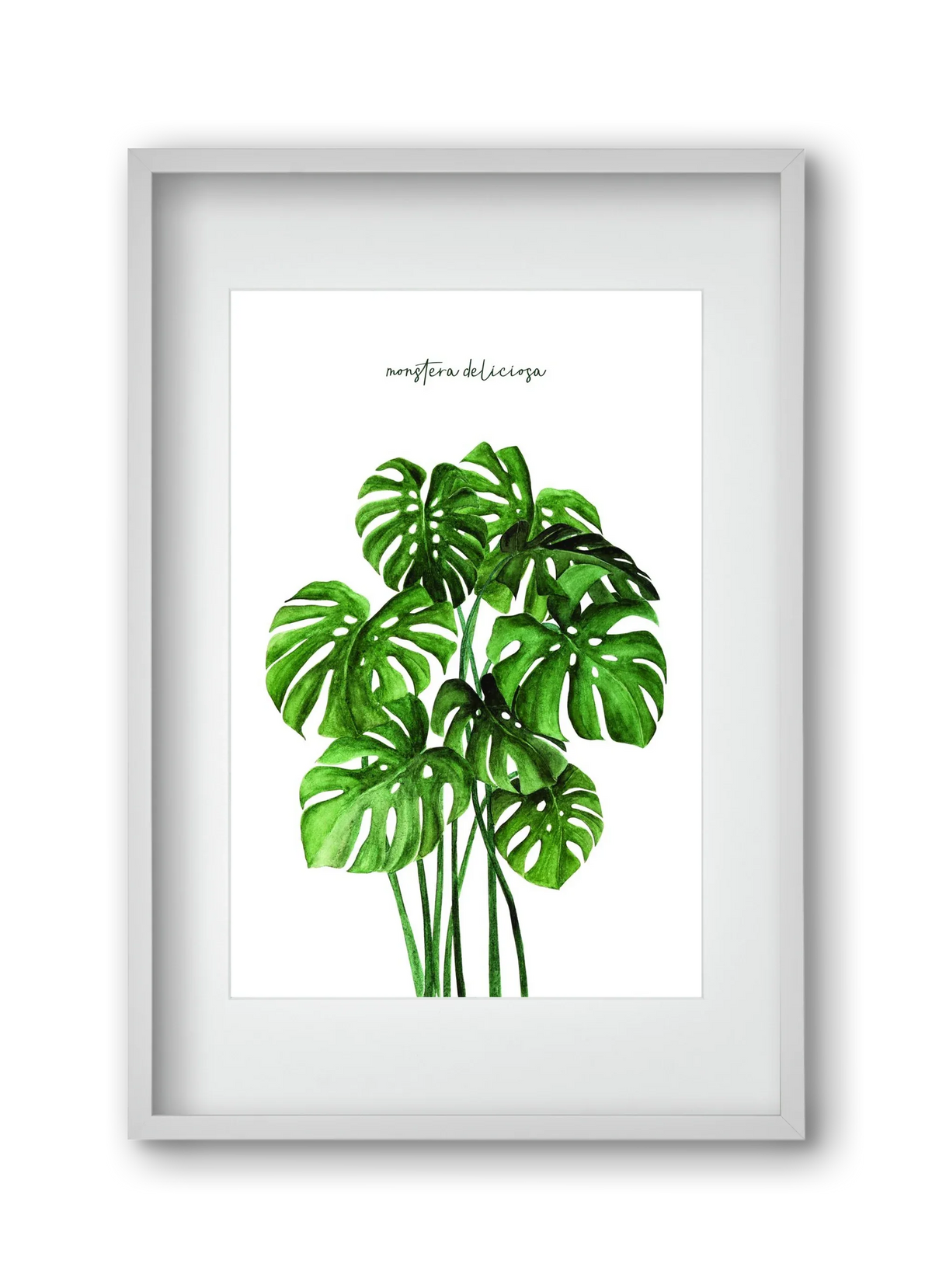 monstera deliciosa - artbridge
