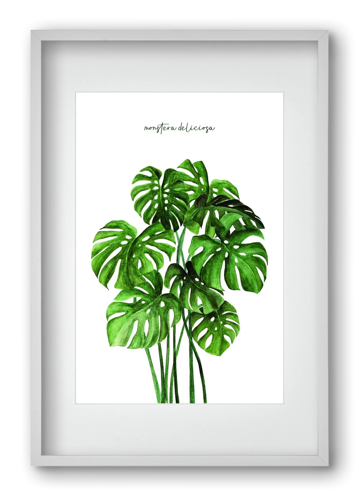 monstera deliciosa - artbridge
