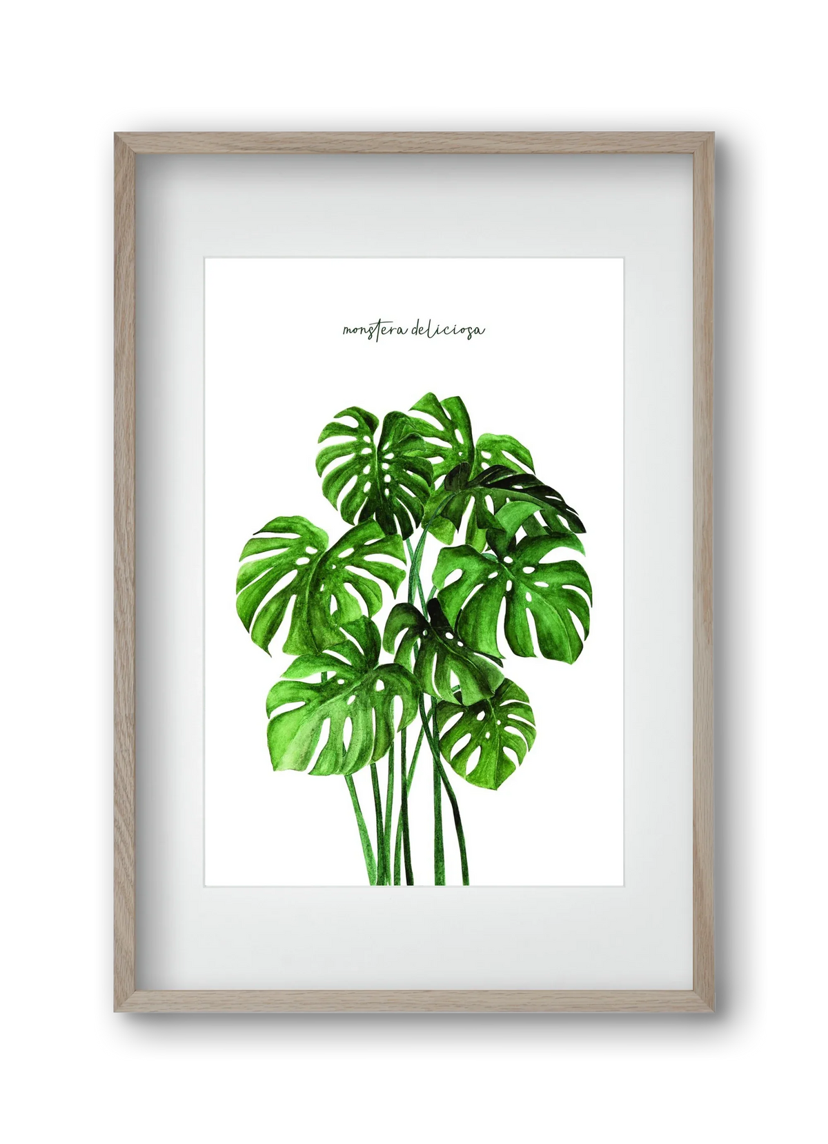 monstera deliciosa - artbridge