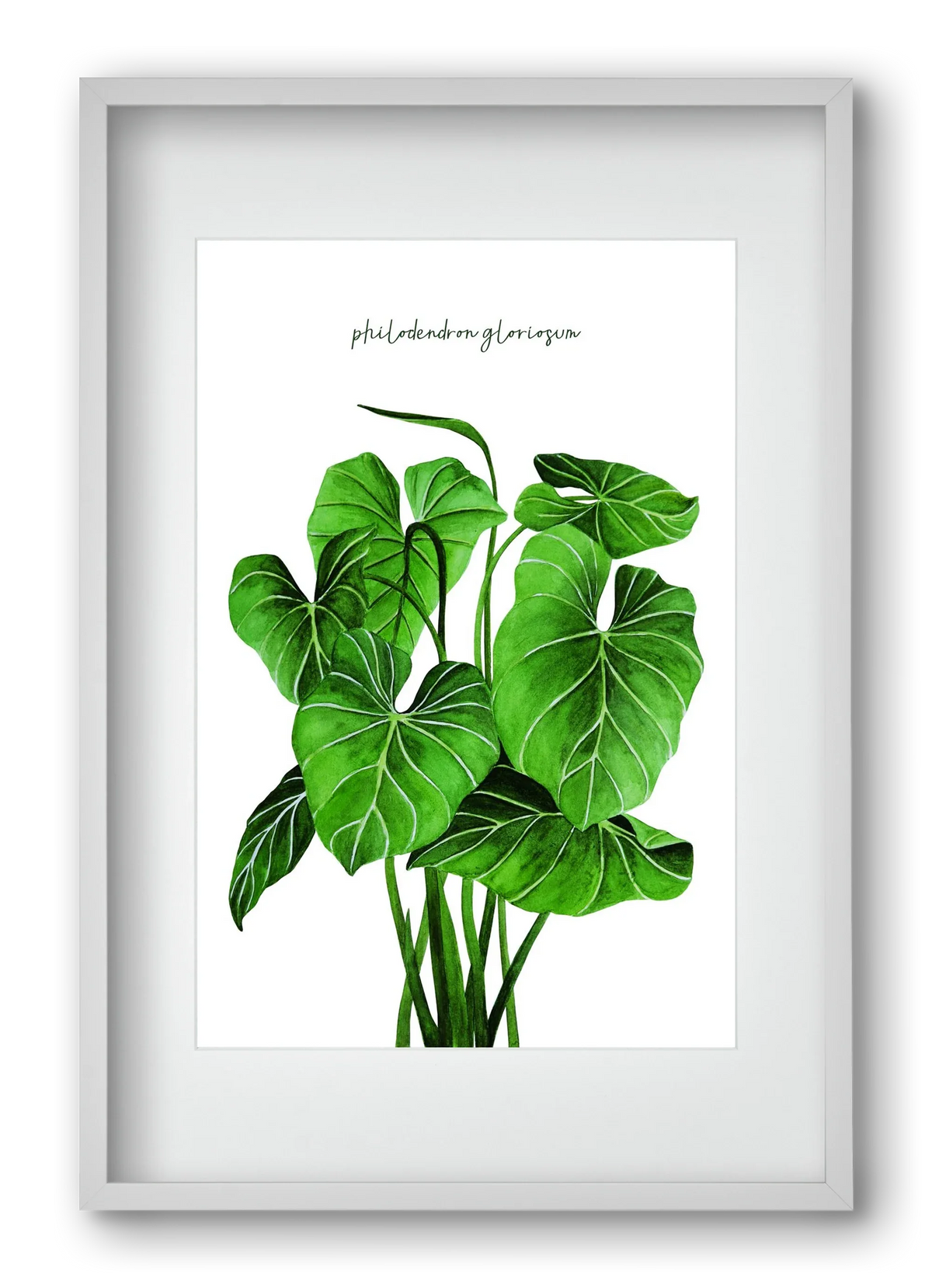 philodendron gloriosum - artbridge