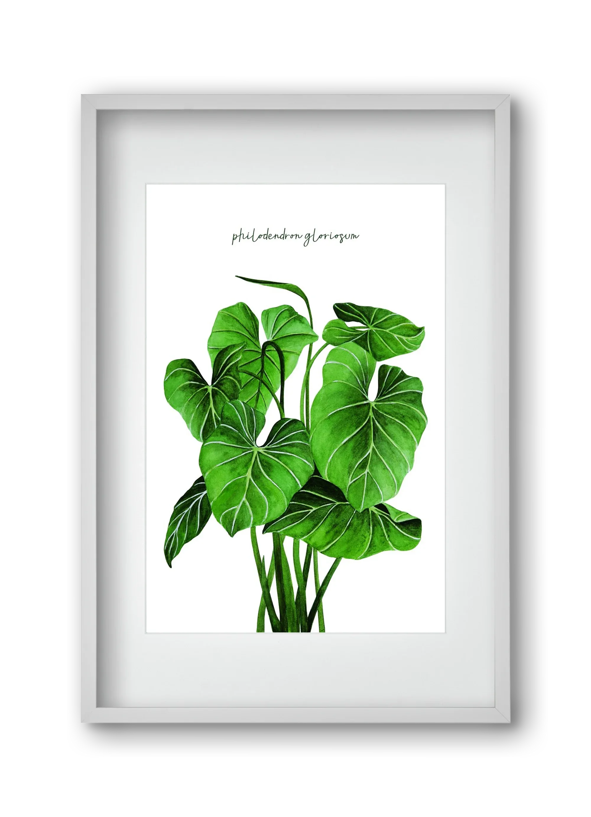 philodendron gloriosum - artbridge