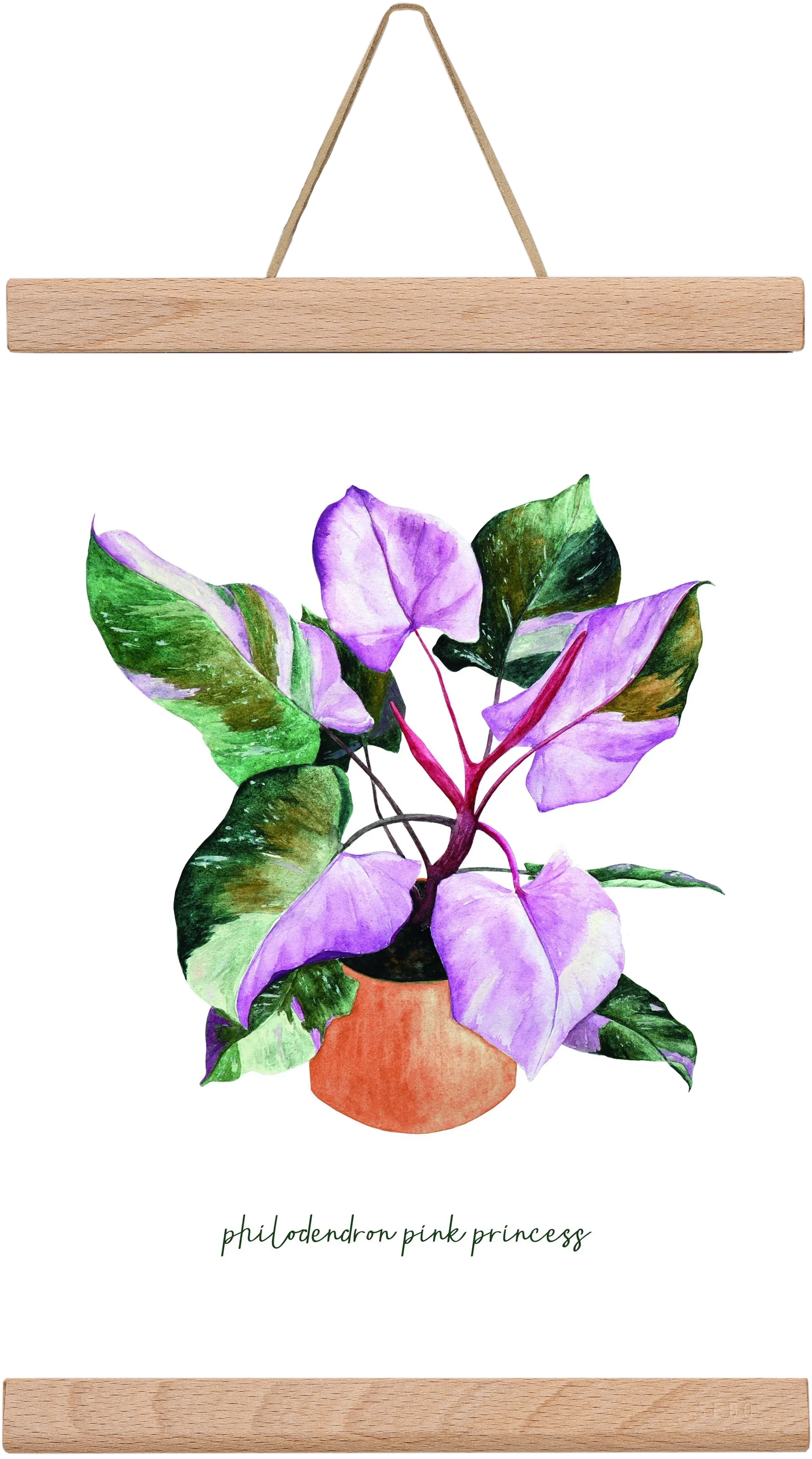 philodendron pink princess - artbridge