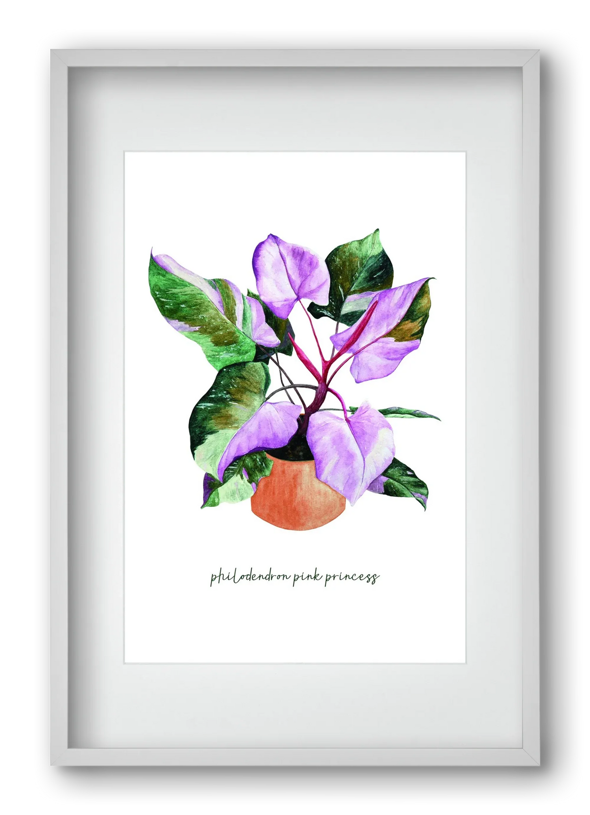 philodendron pink princess - artbridge