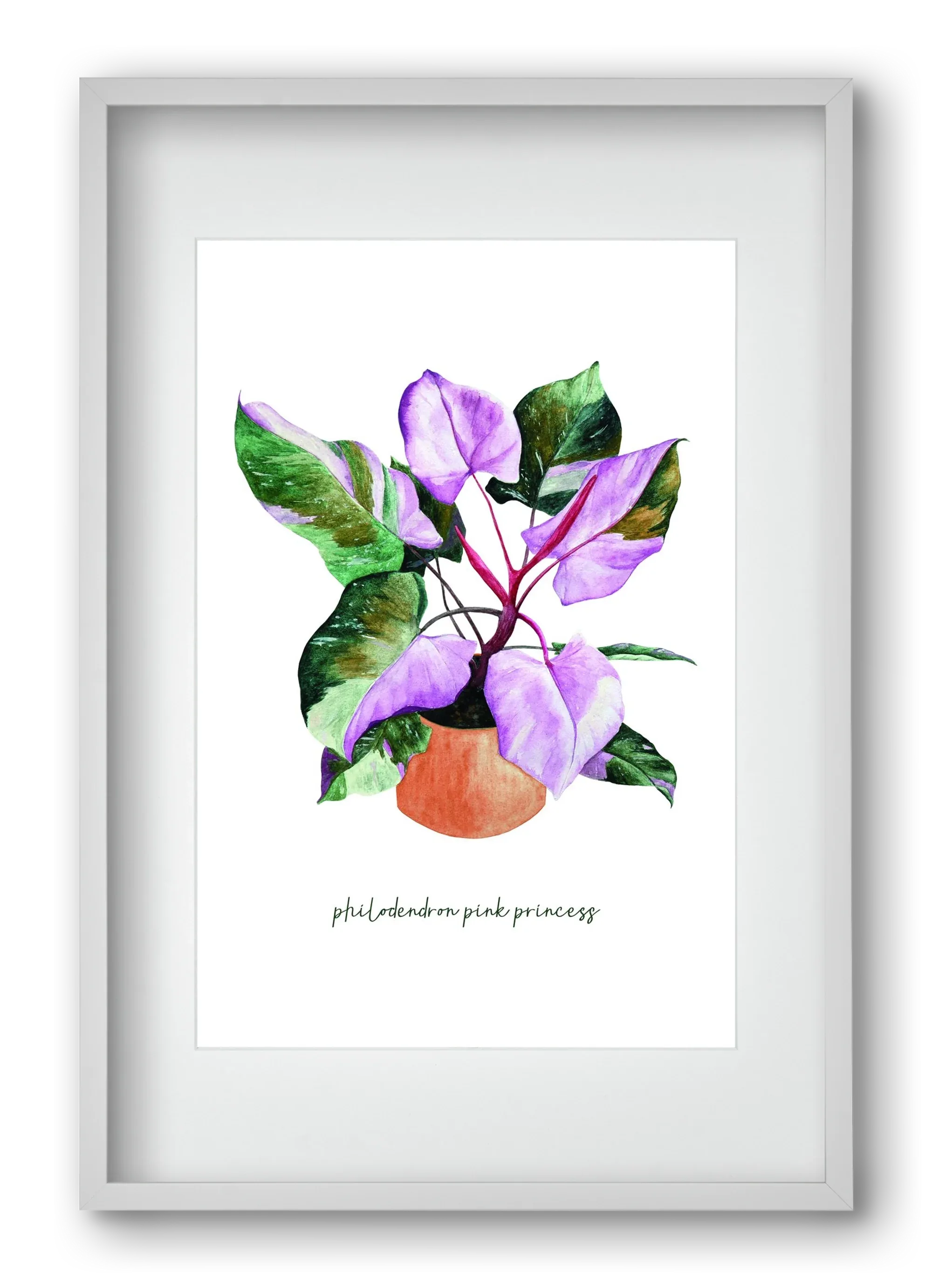 philodendron pink princess - artbridge