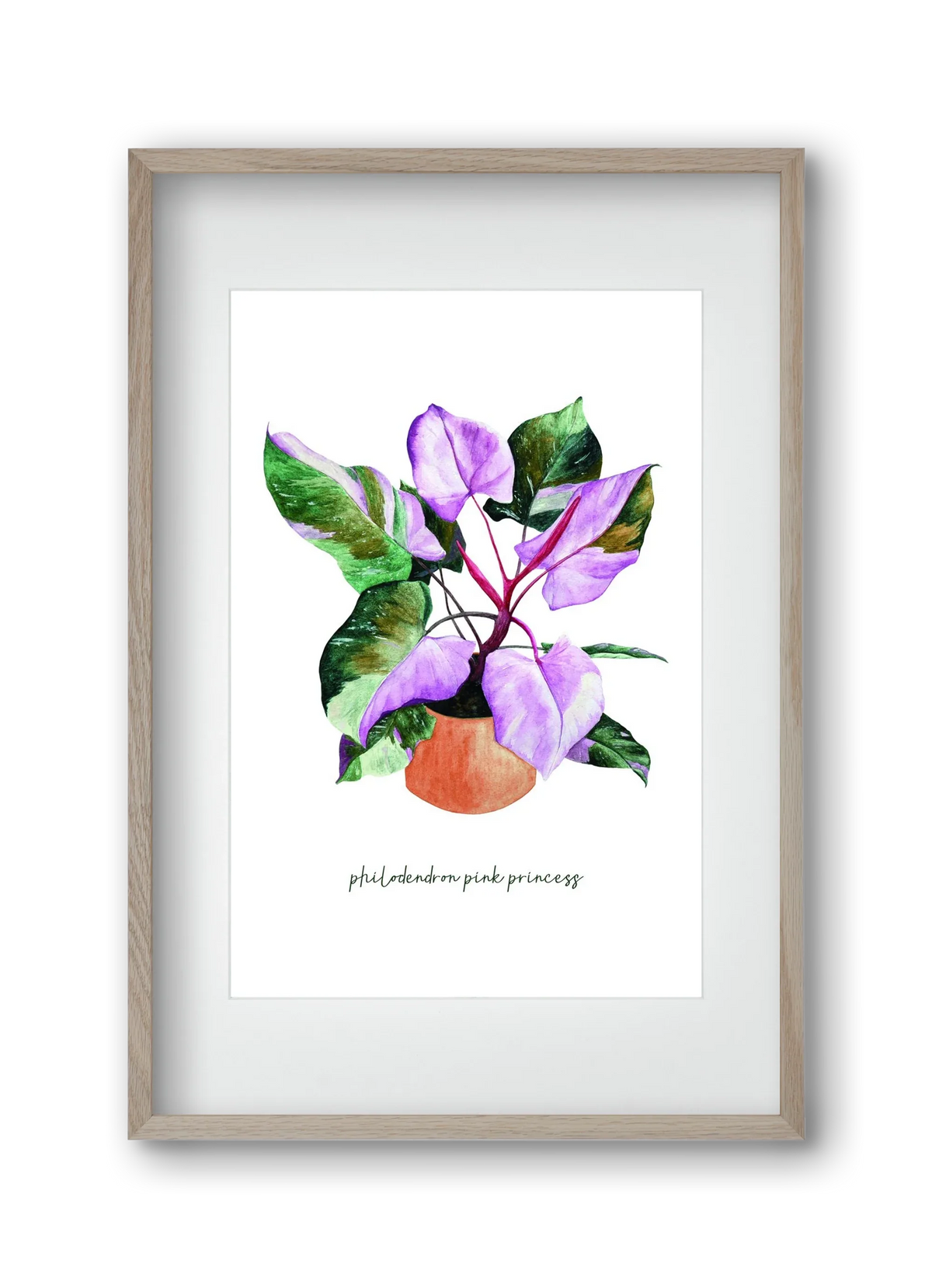 philodendron pink princess - artbridge