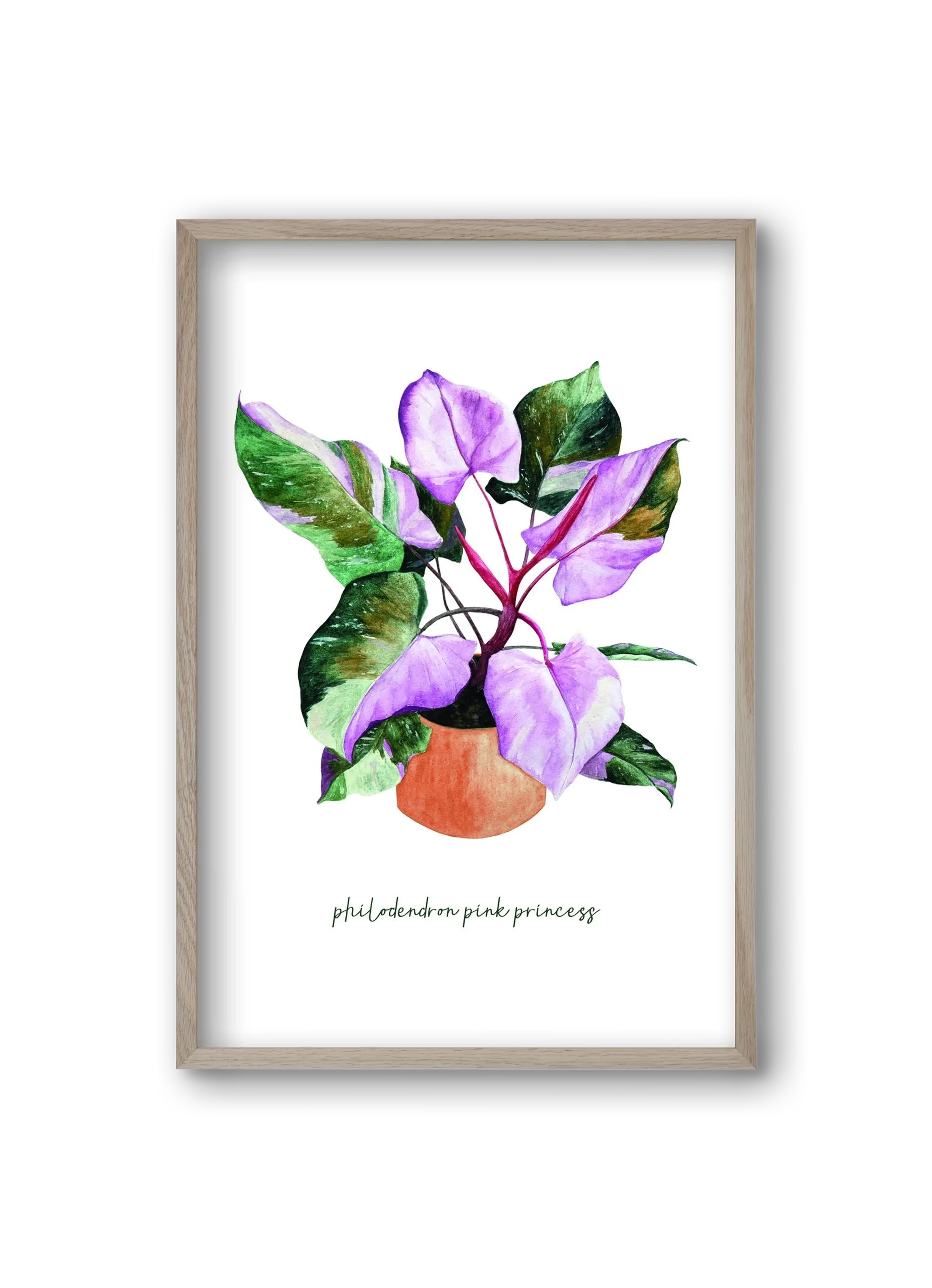 philodendron pink princess - artbridge