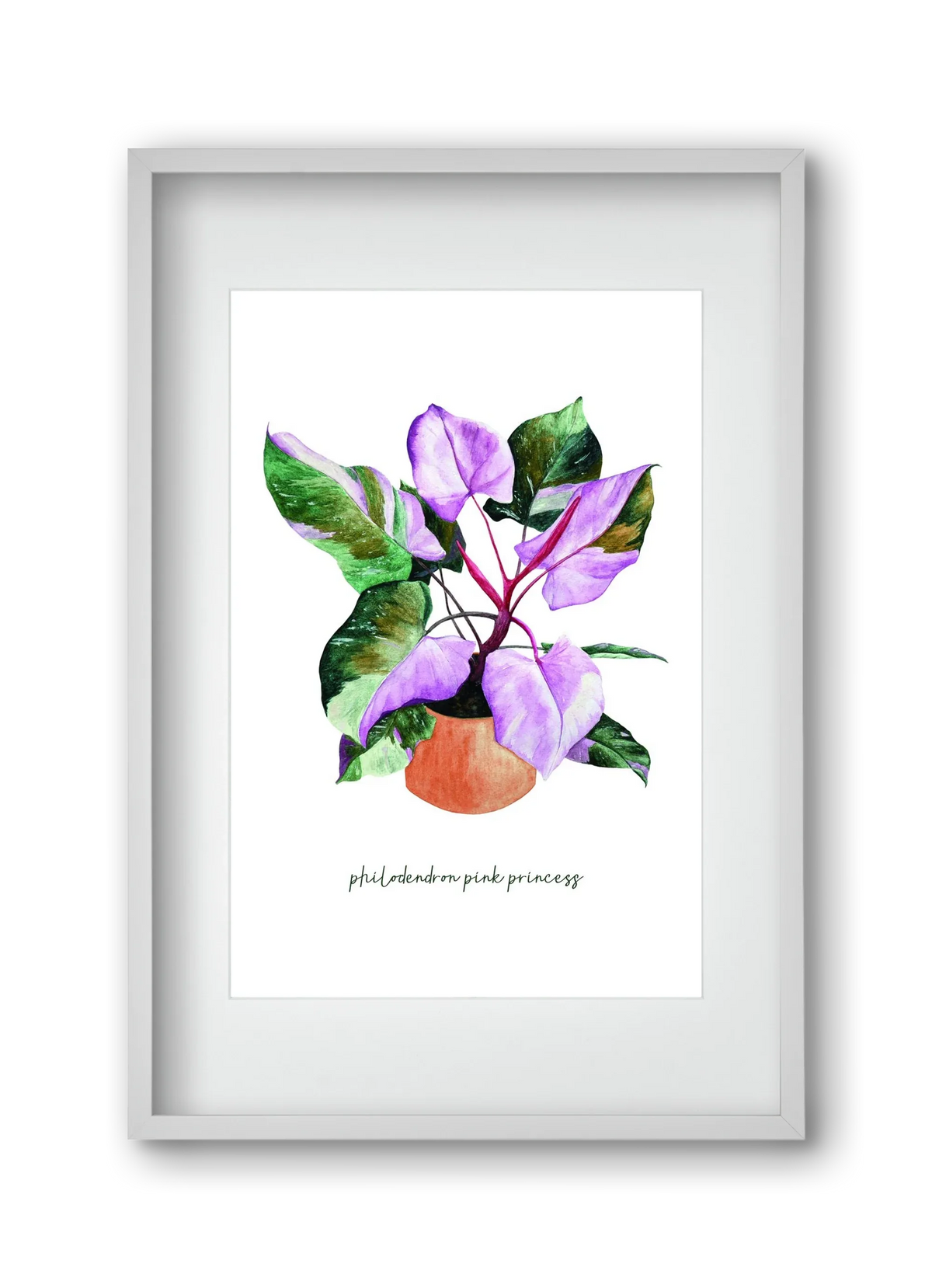 philodendron pink princess - artbridge