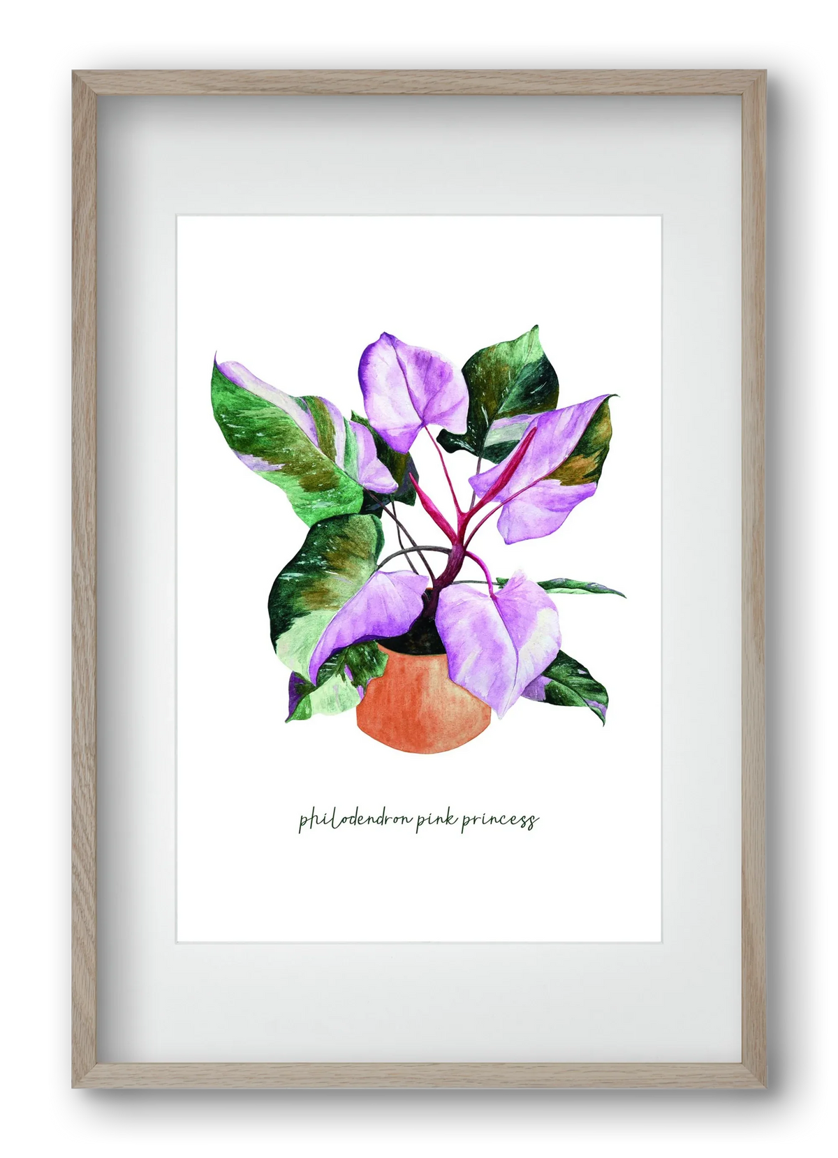 philodendron pink princess - artbridge