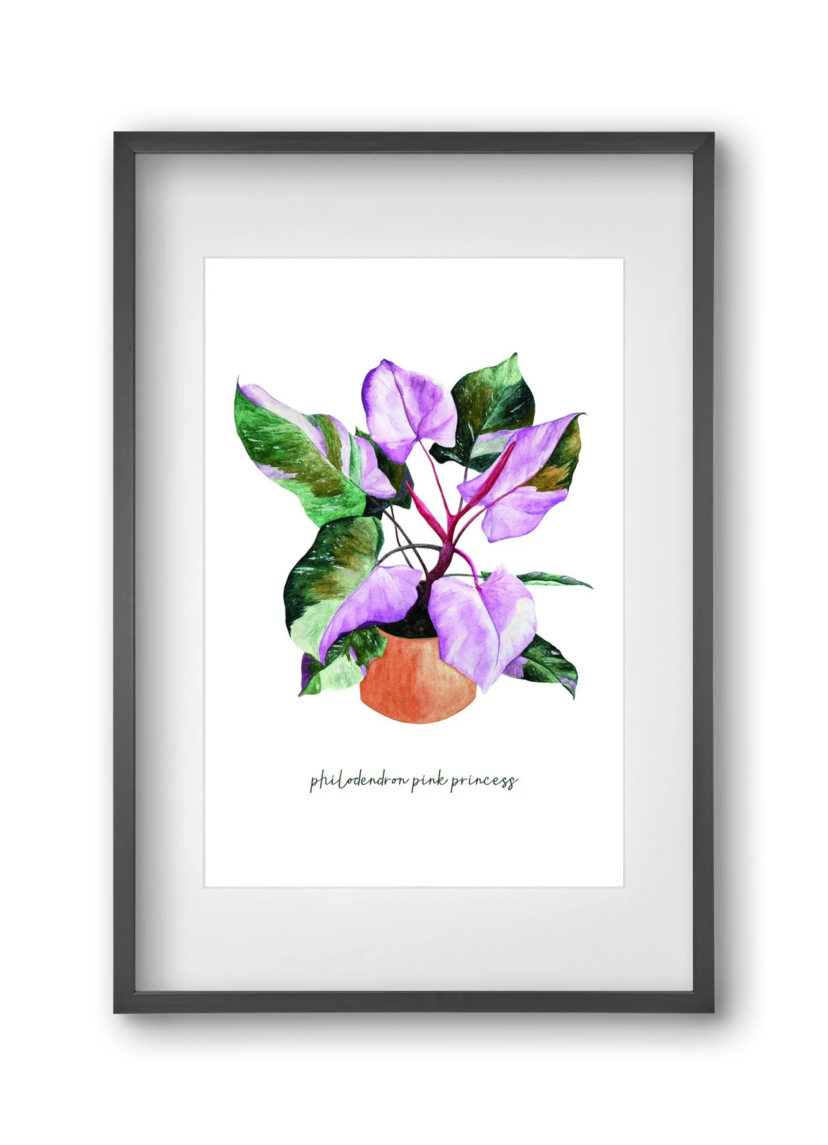 philodendron pink princess - artbridge