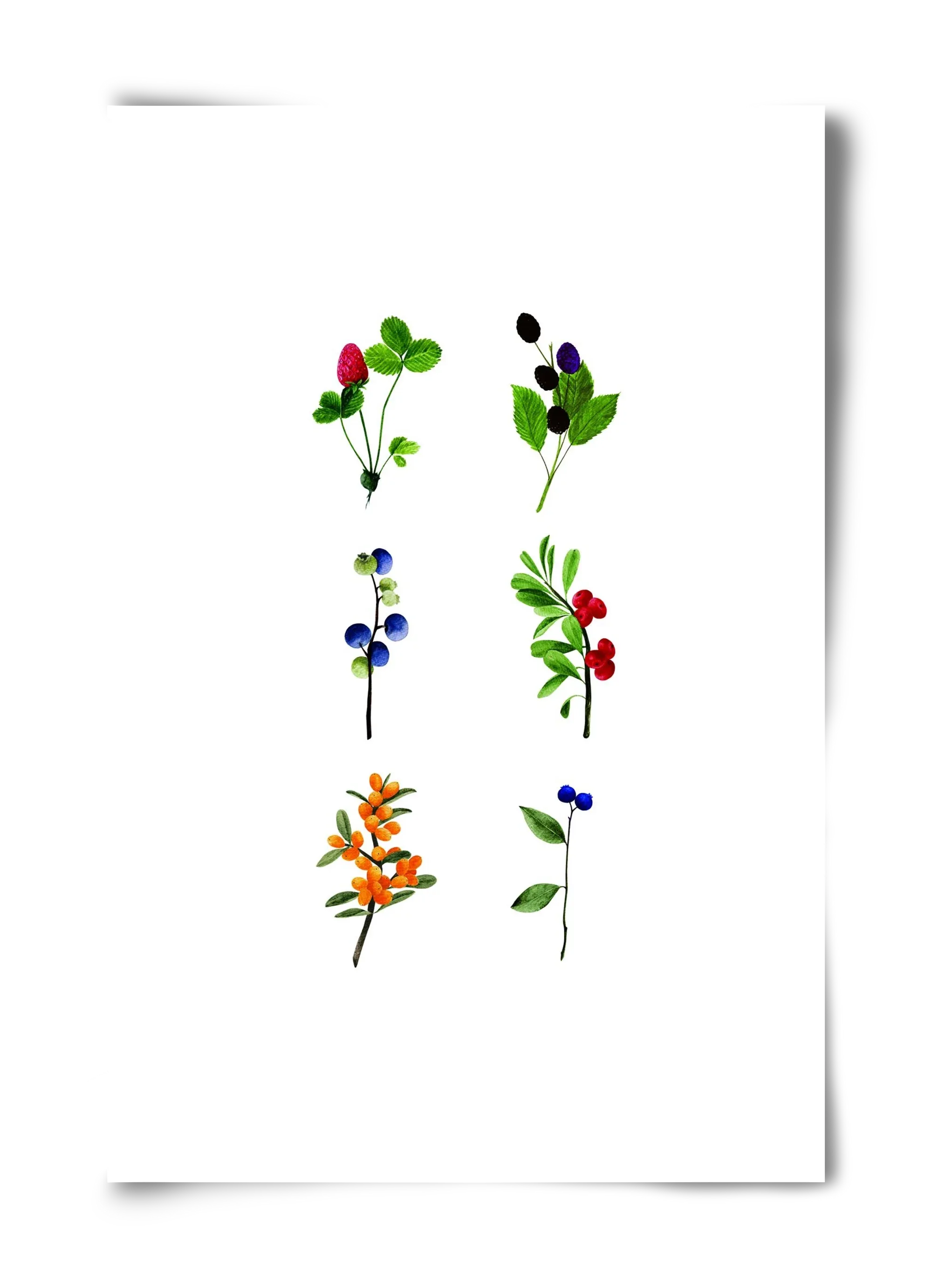 berries - artbridge