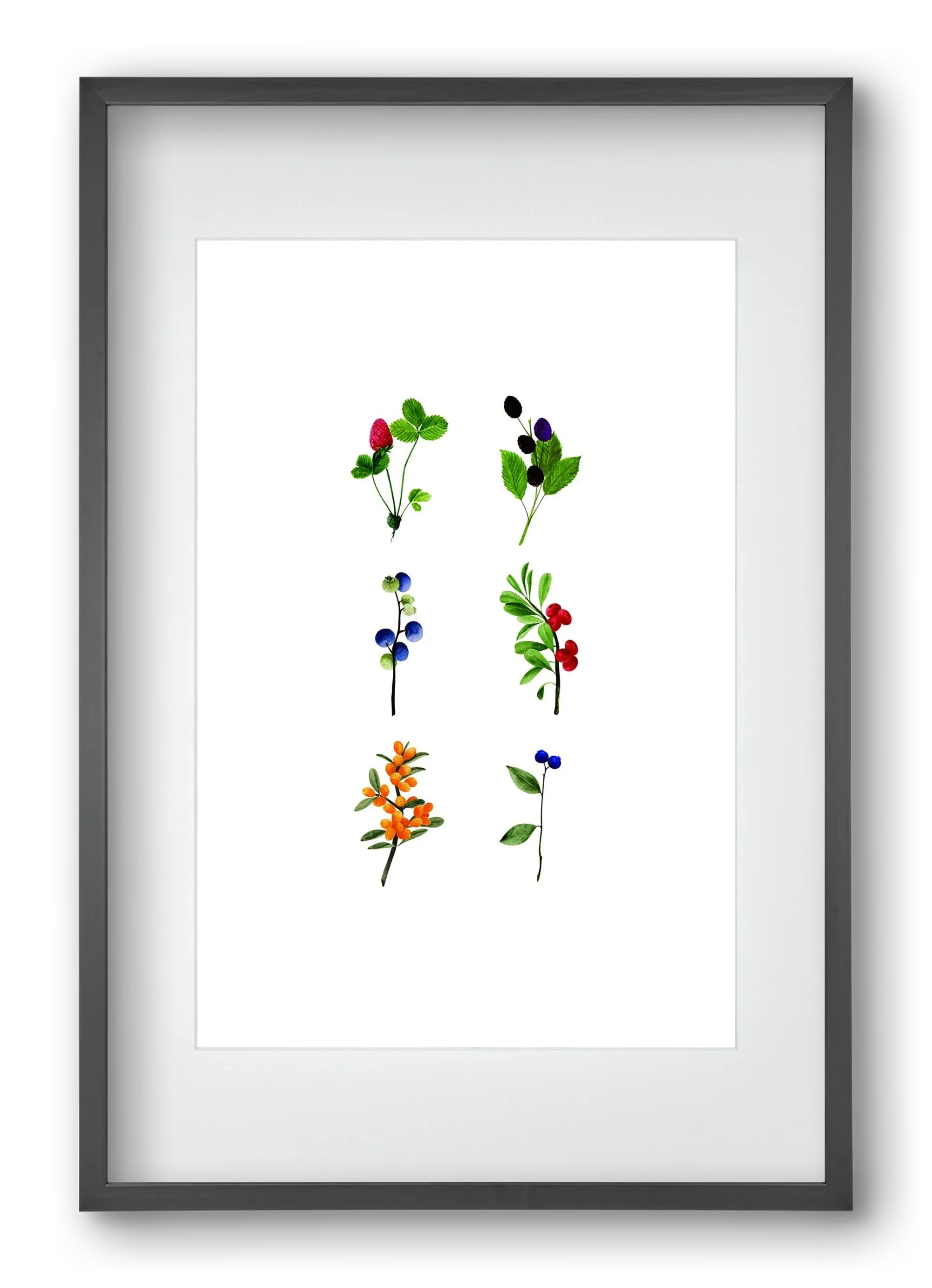 berries - artbridge