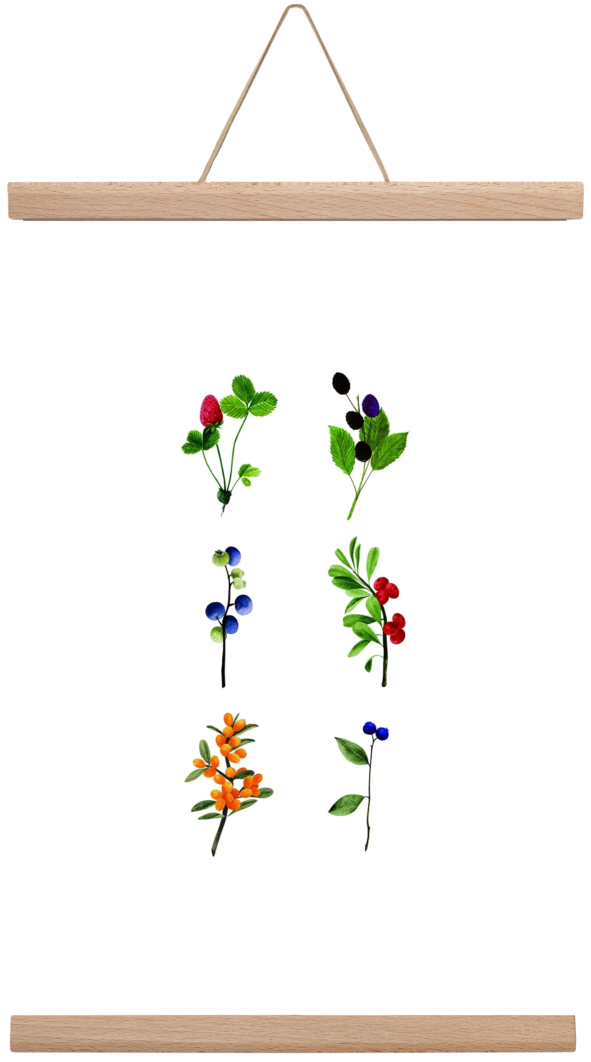 berries - artbridge
