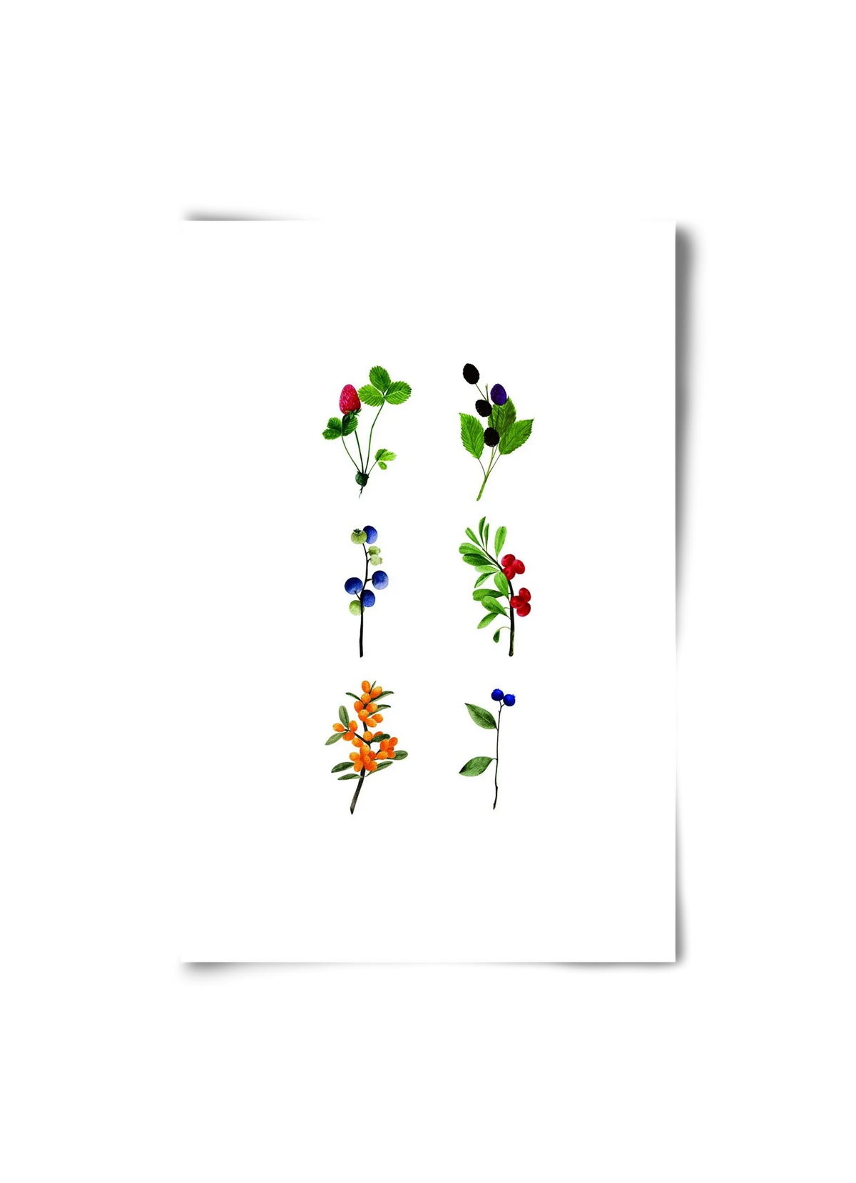 berries - artbridge