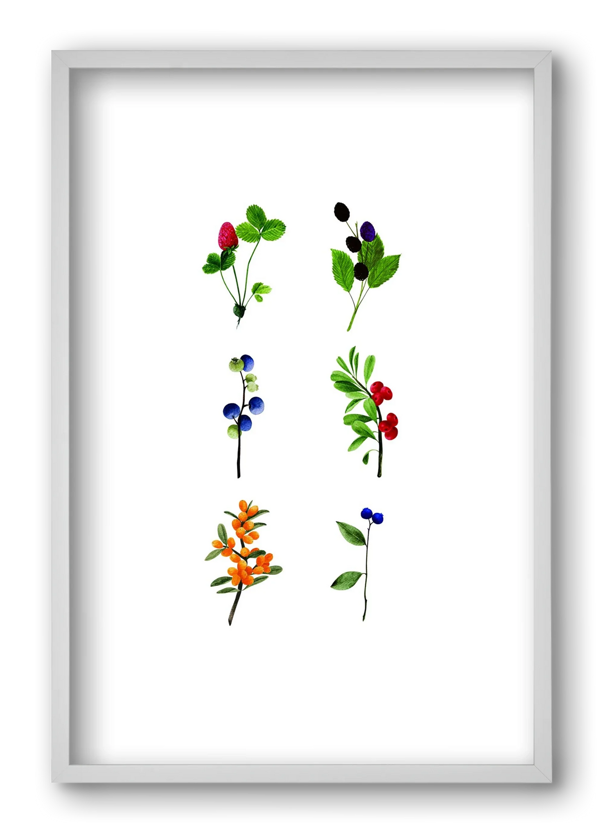 berries - artbridge