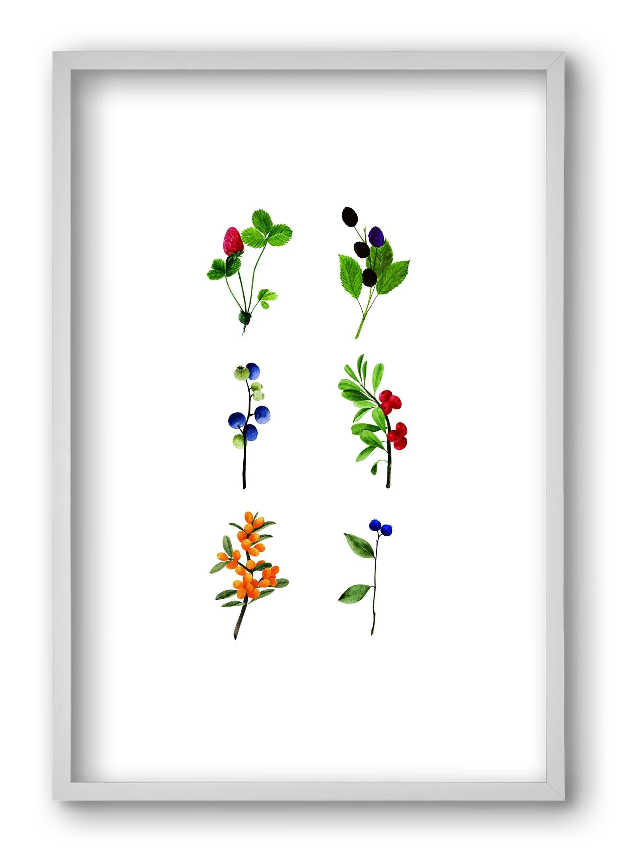 berries - artbridge