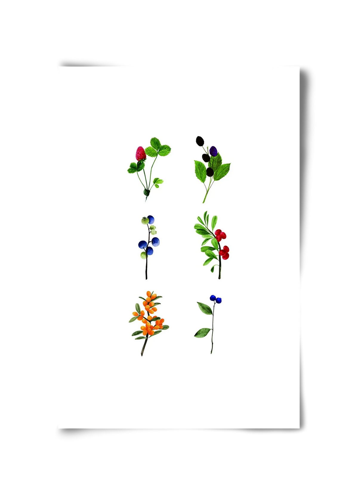 berries - artbridge