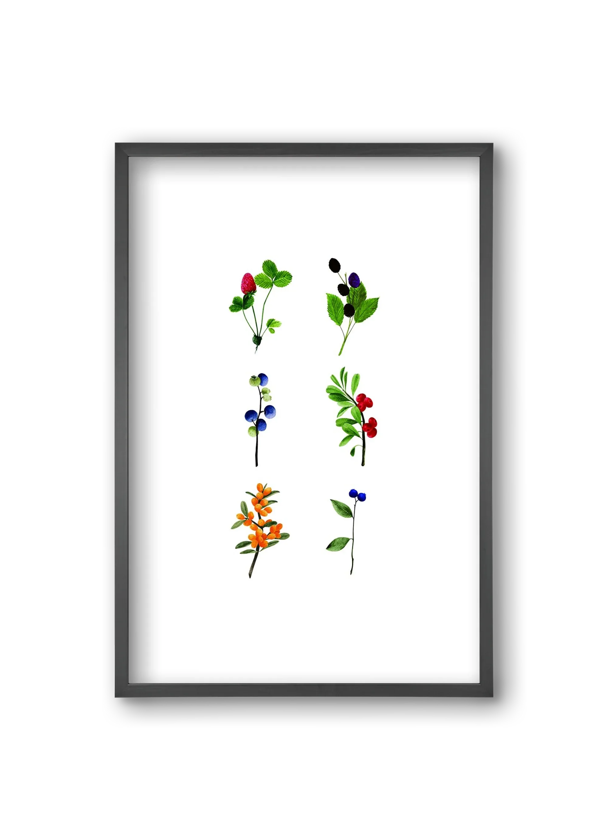berries - artbridge