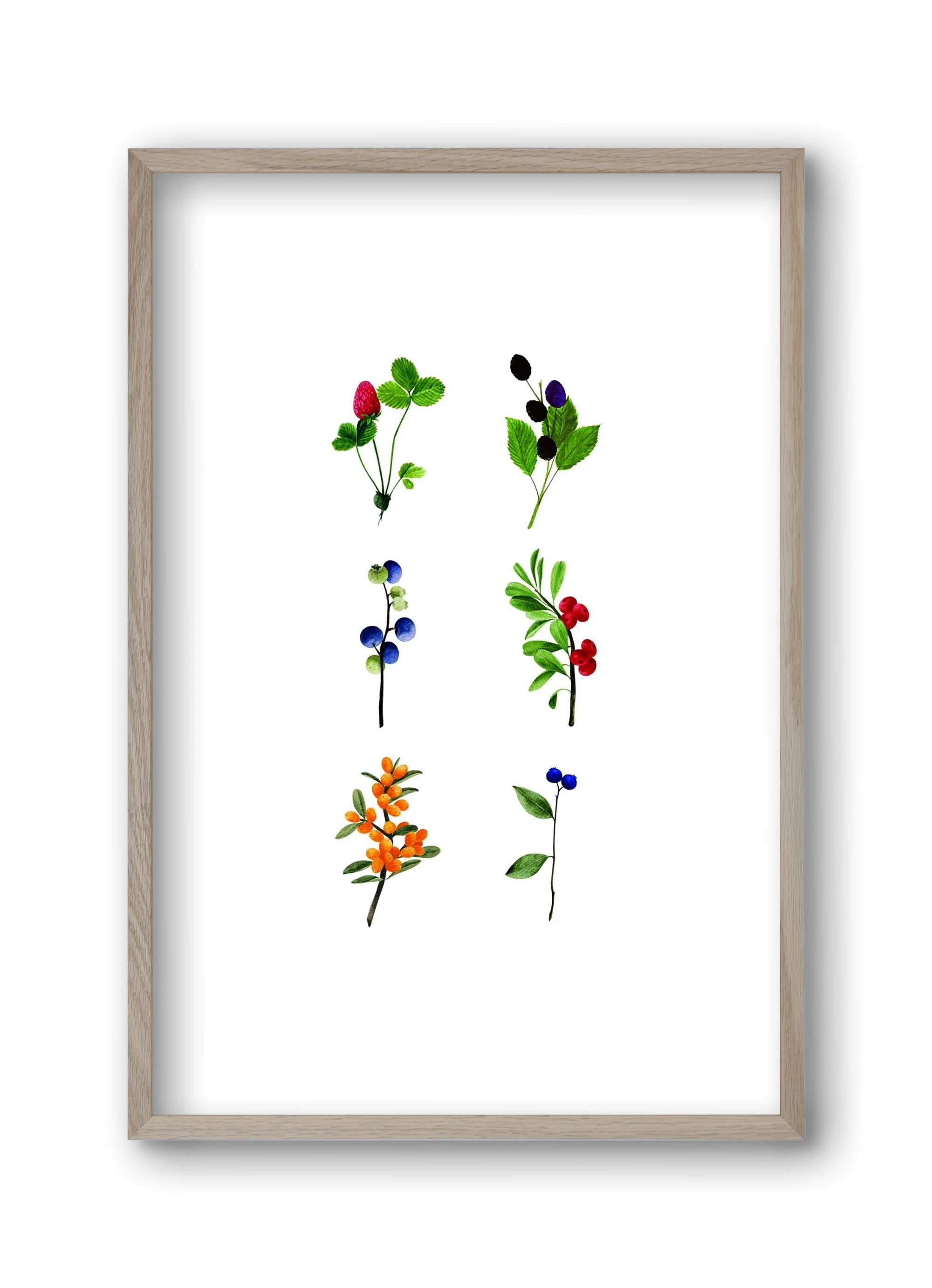 berries - artbridge