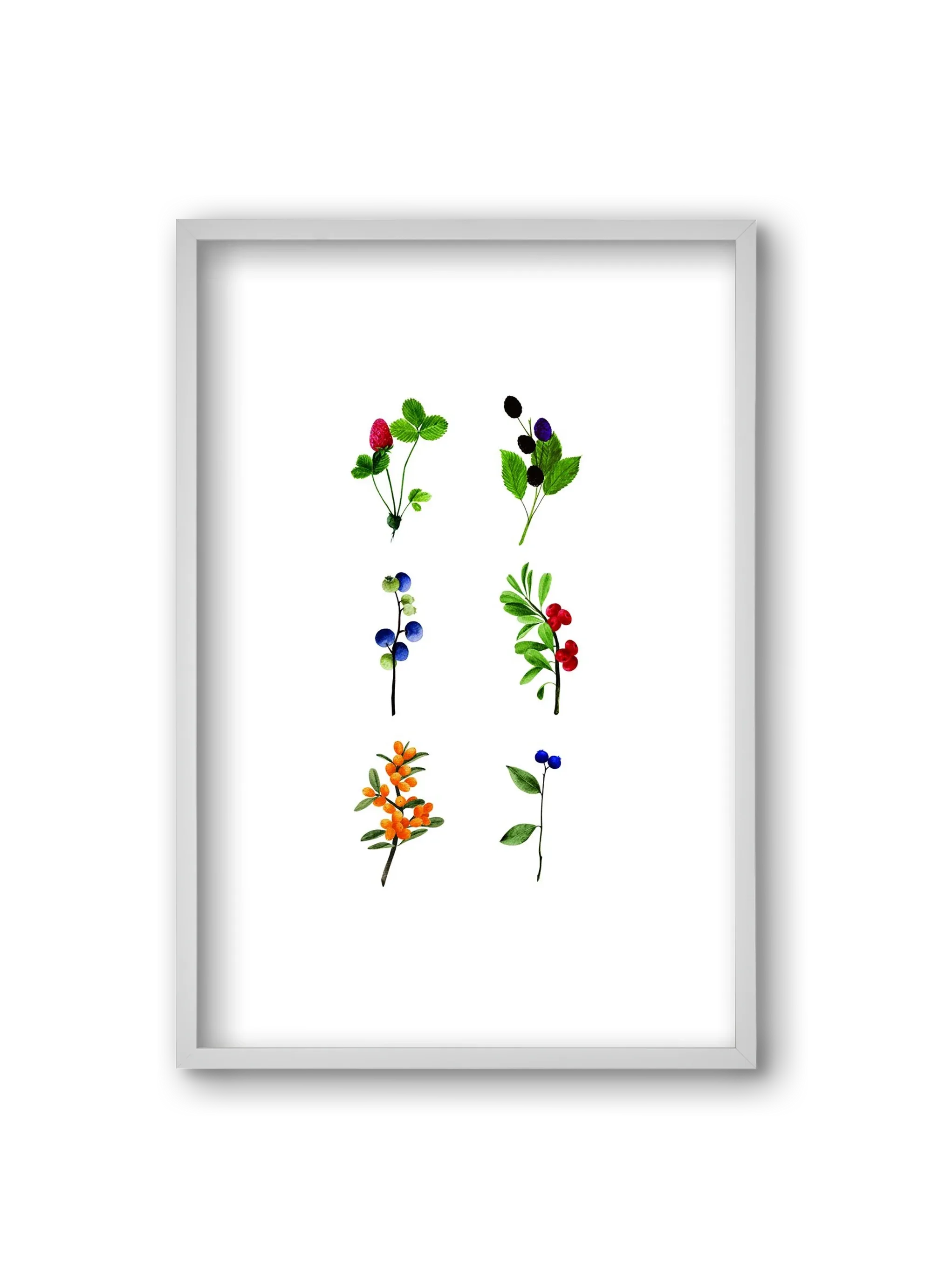 berries - artbridge
