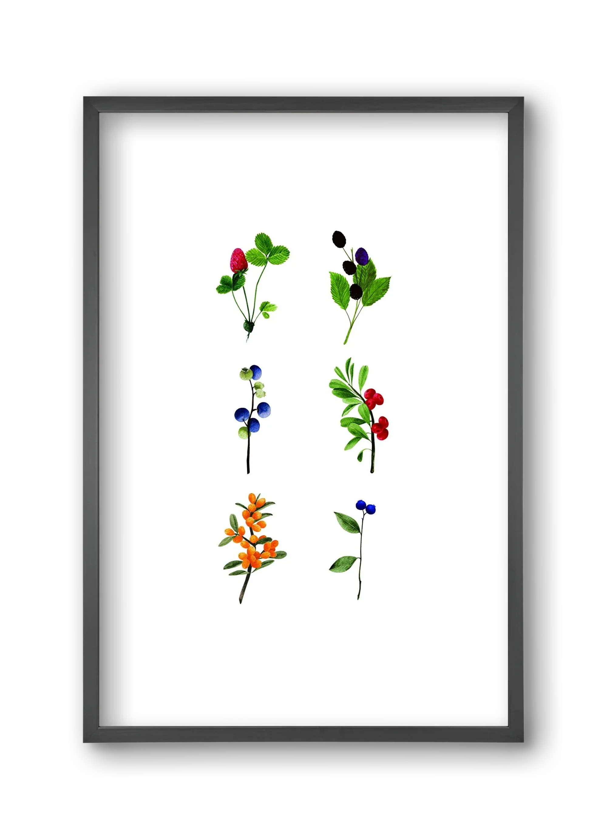 berries - artbridge