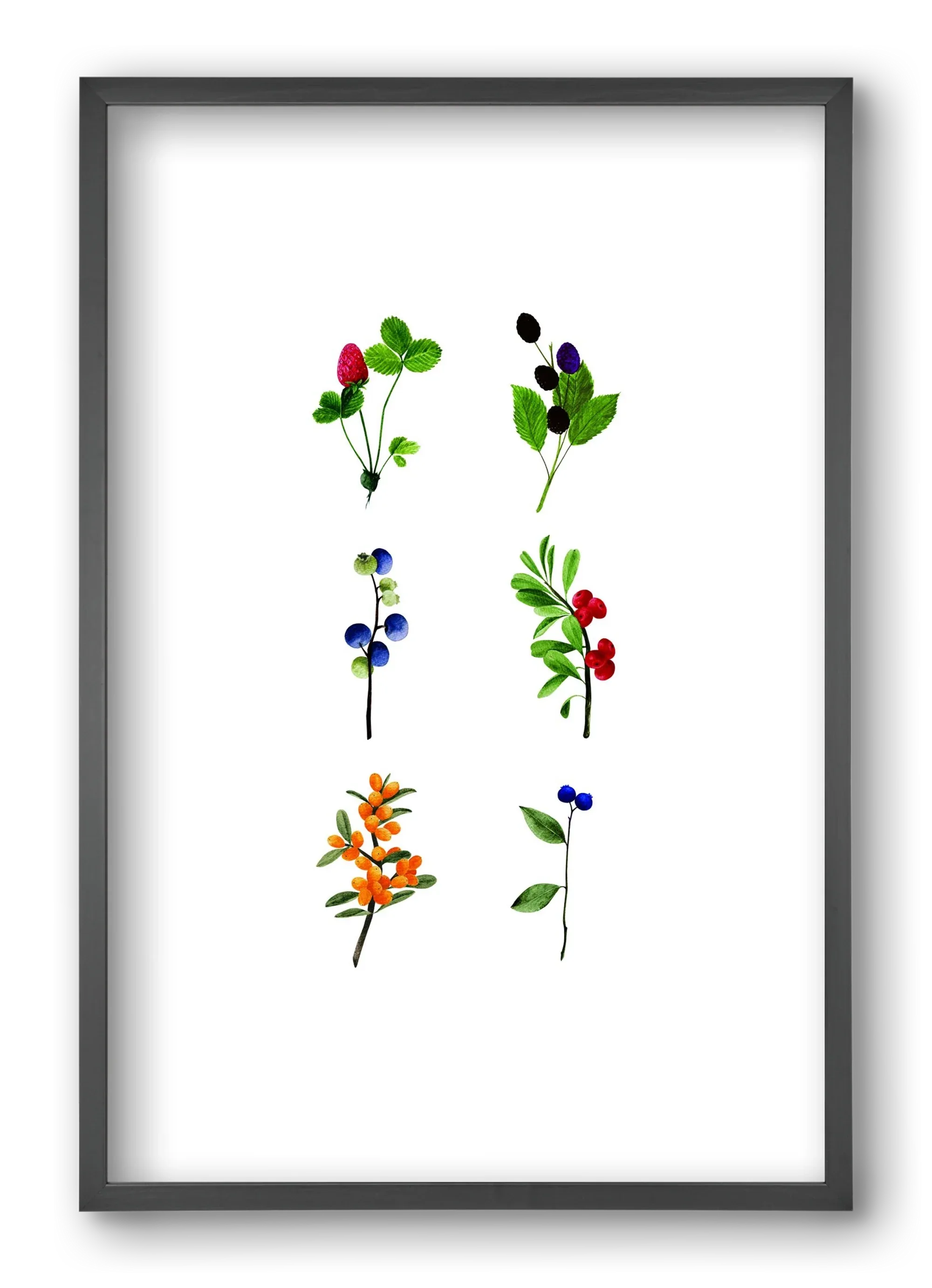 berries - artbridge