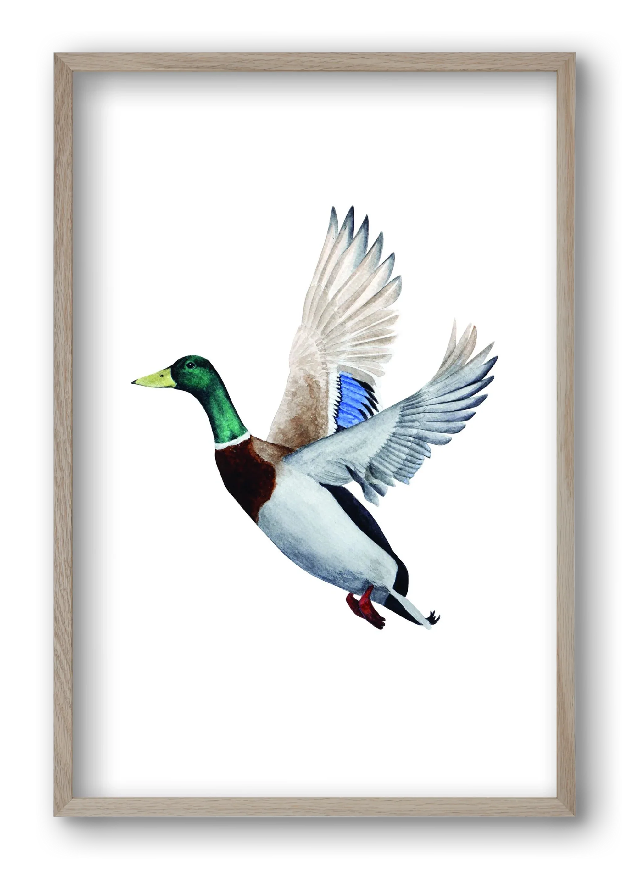 duck - artbridge