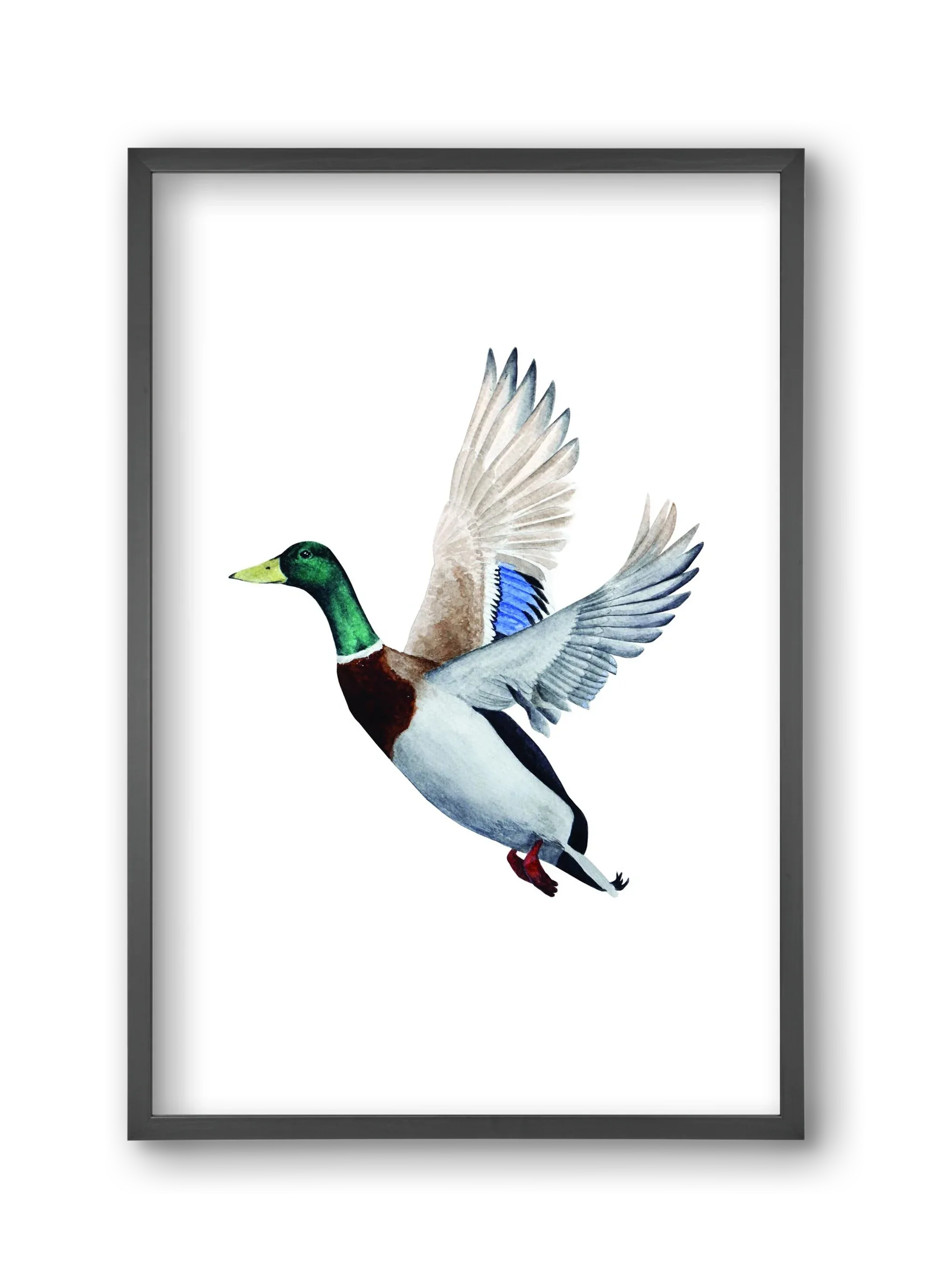 duck - artbridge