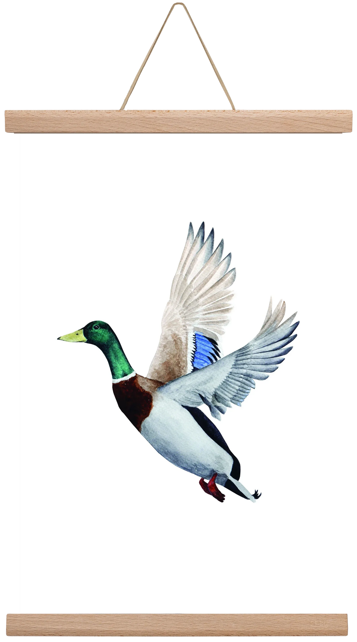 duck - artbridge