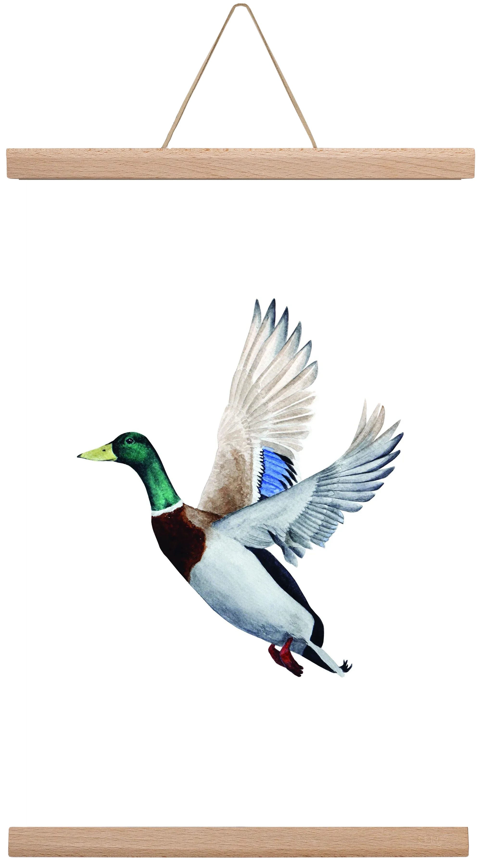 duck - artbridge