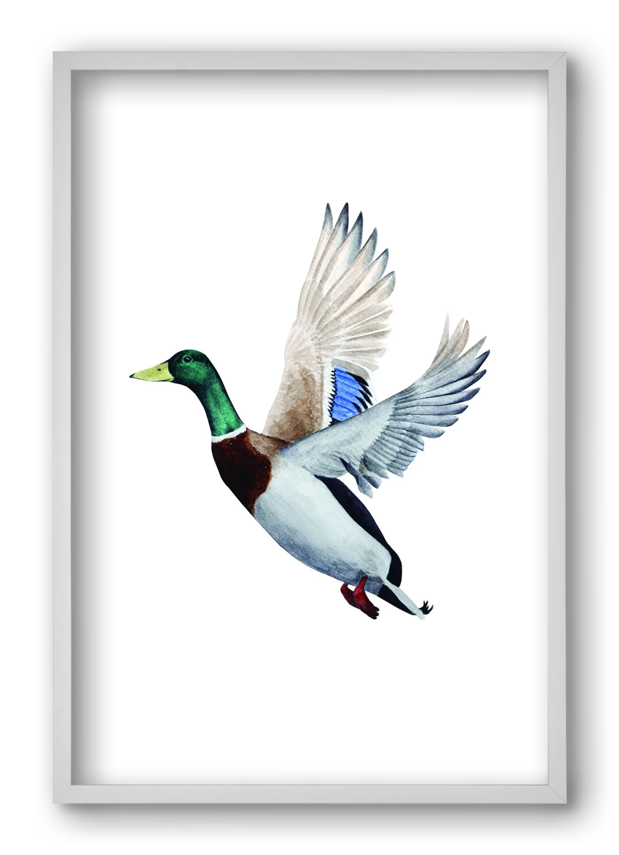 duck - artbridge