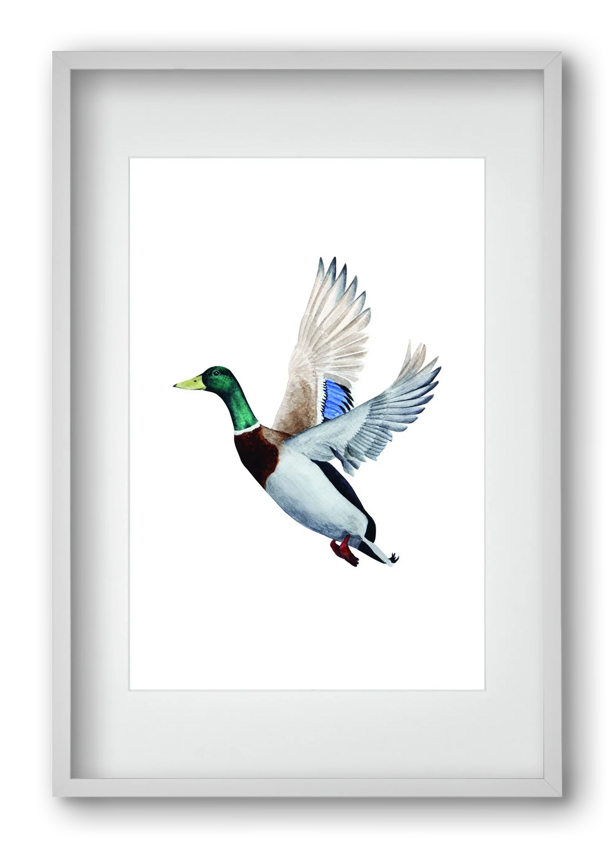duck - artbridge