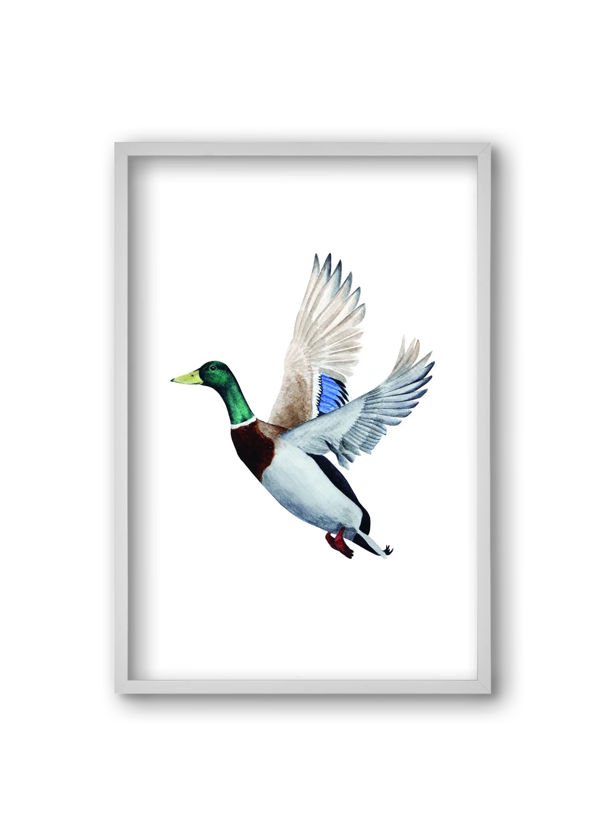 duck - artbridge