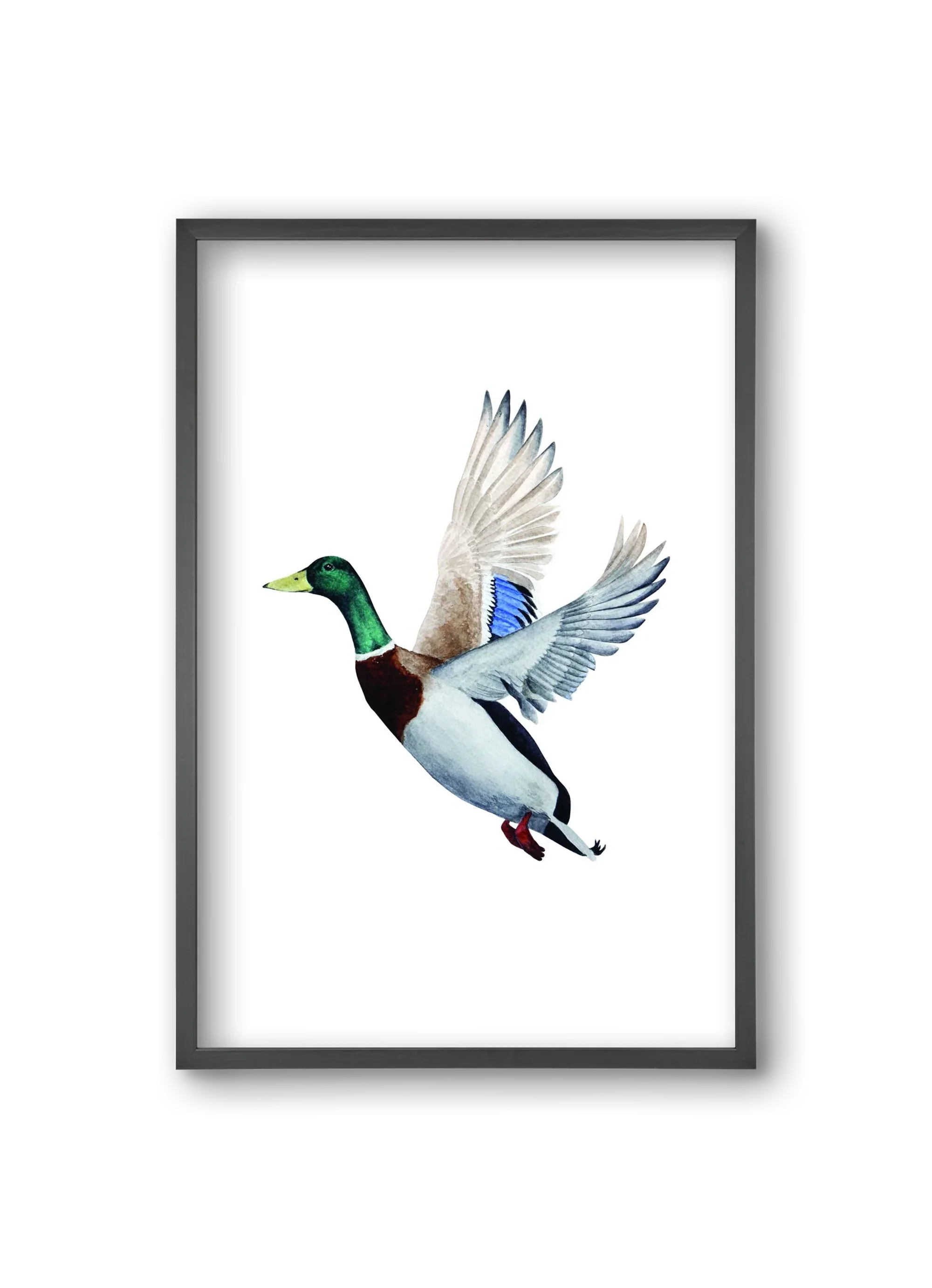 duck - artbridge