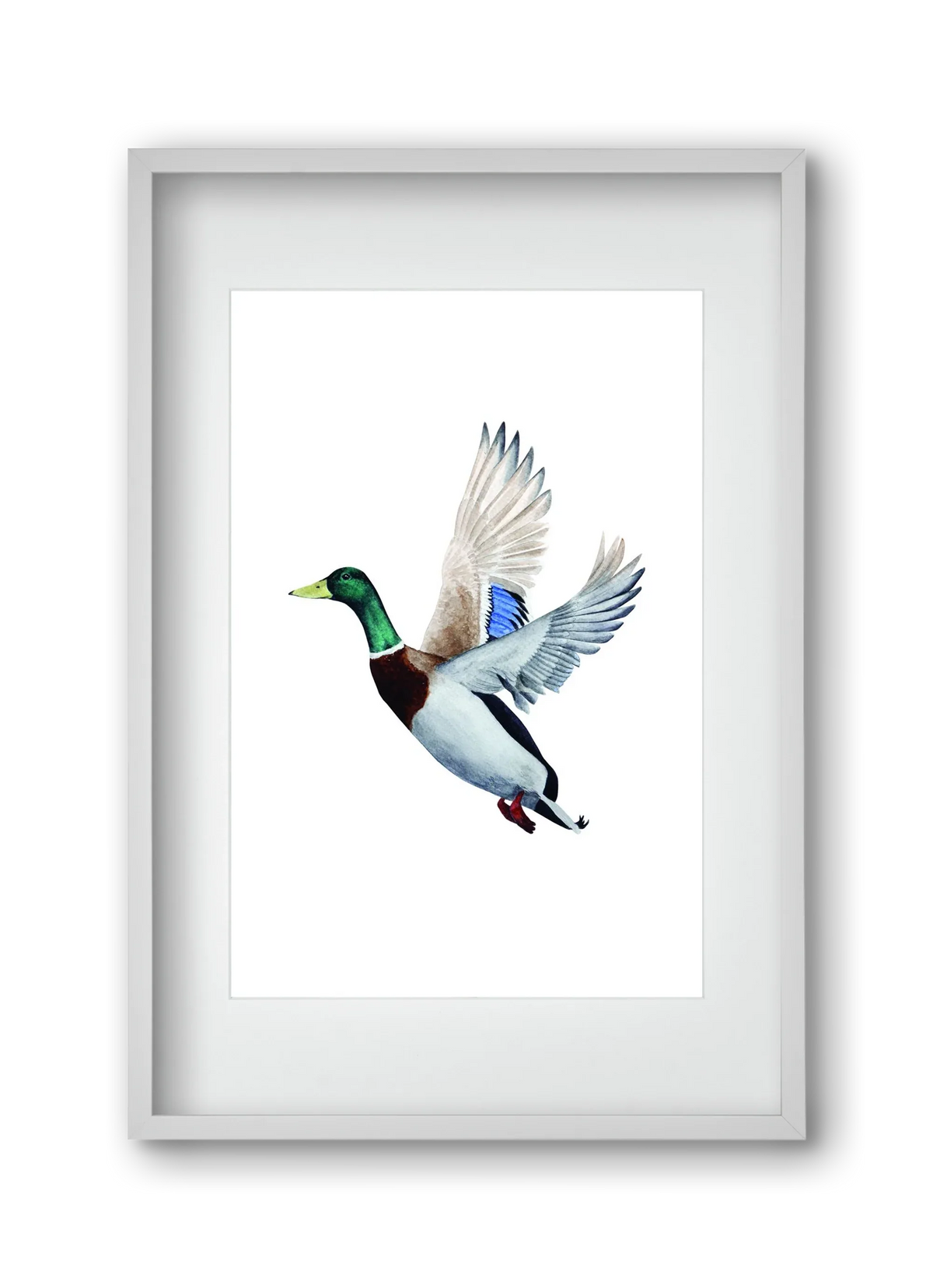 duck - artbridge