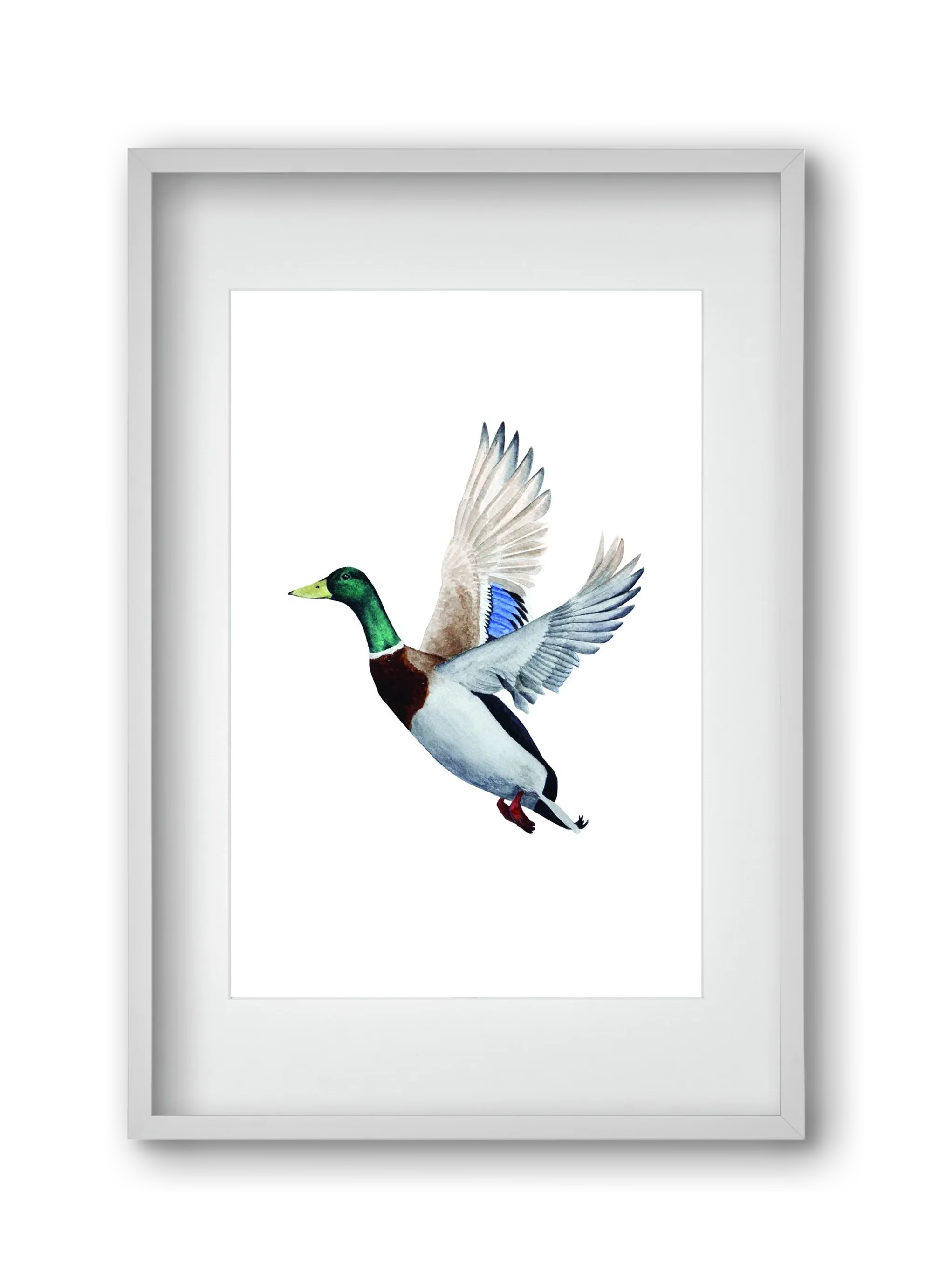 duck - artbridge