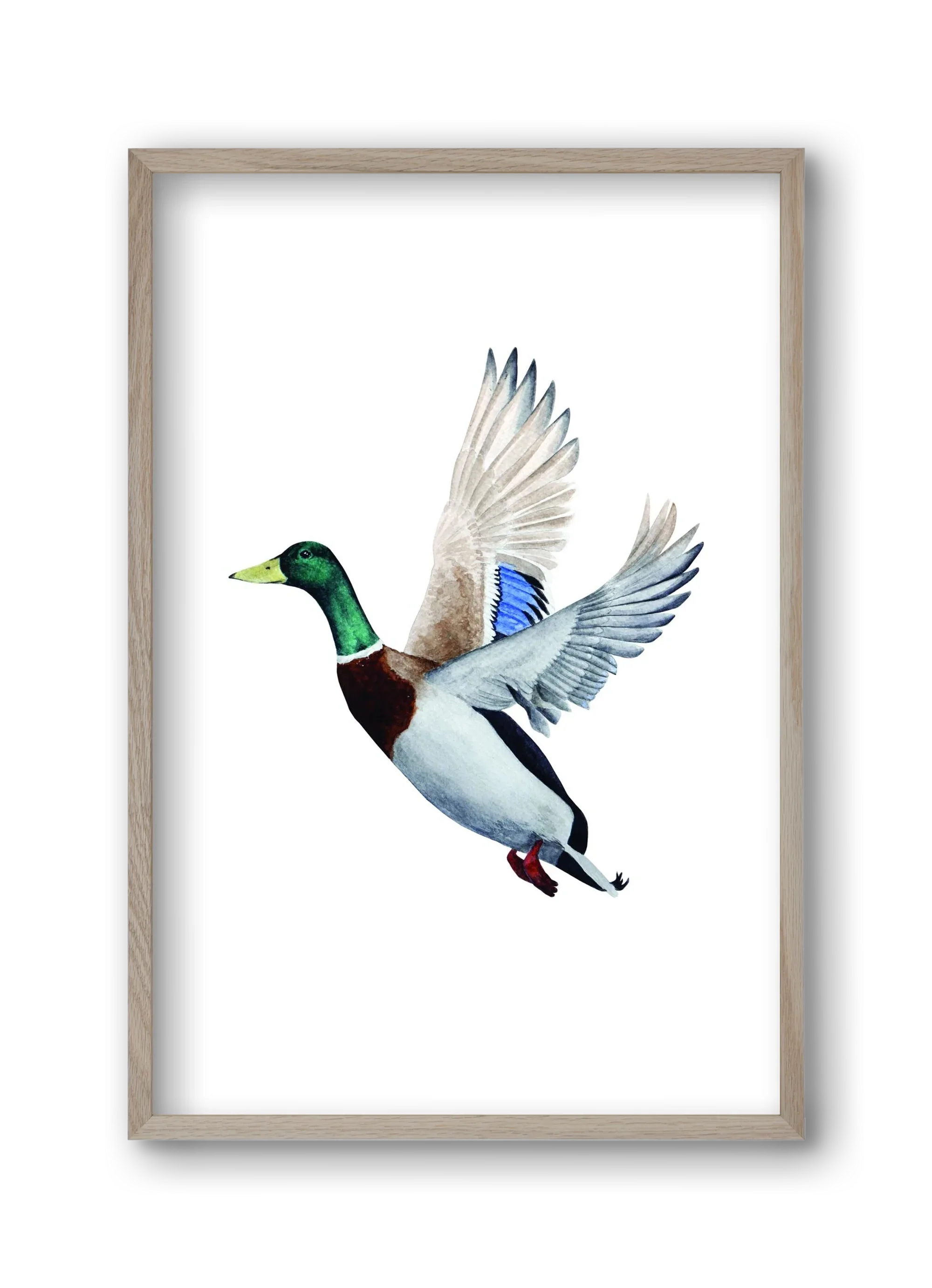 duck - artbridge