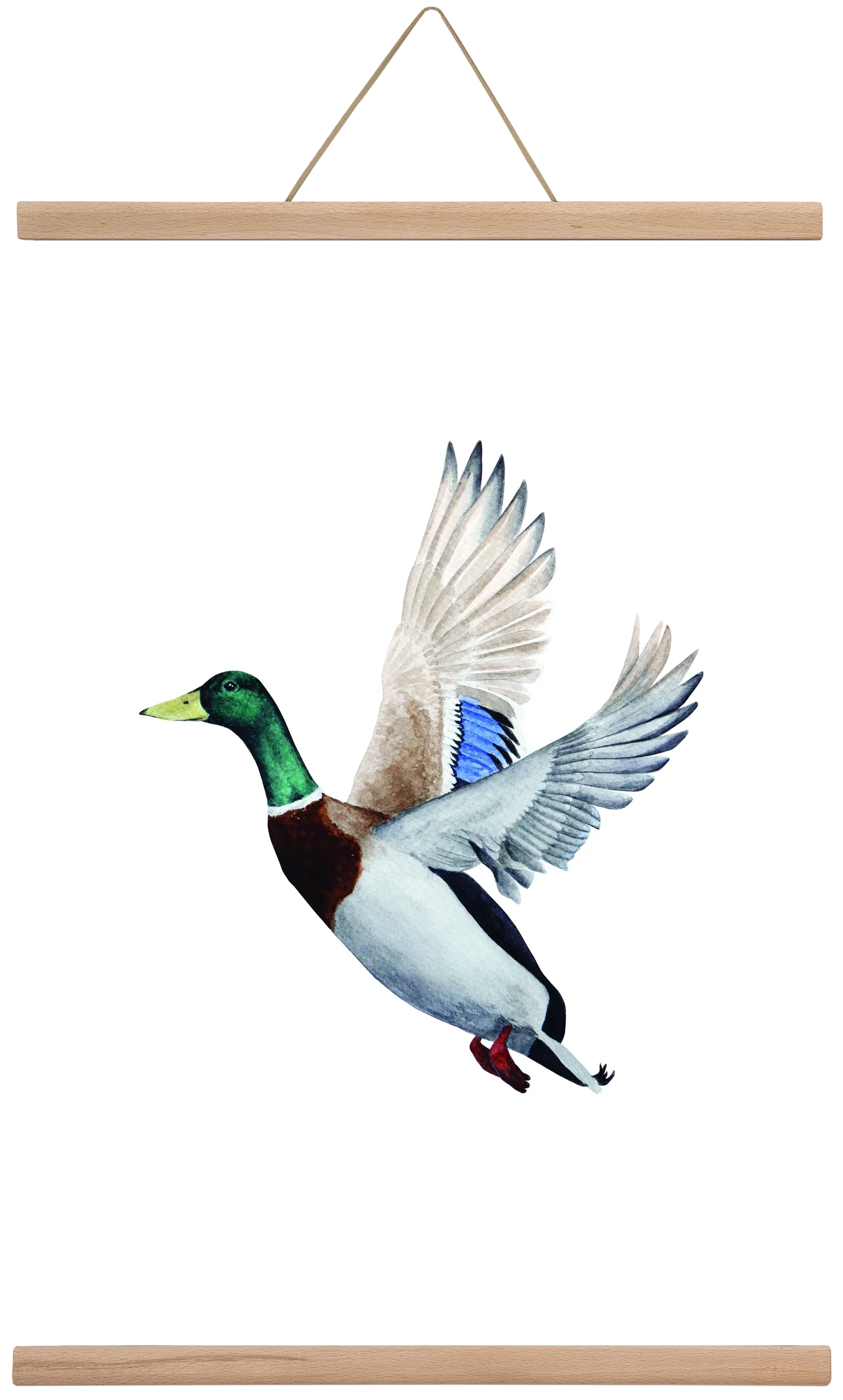 duck - artbridge