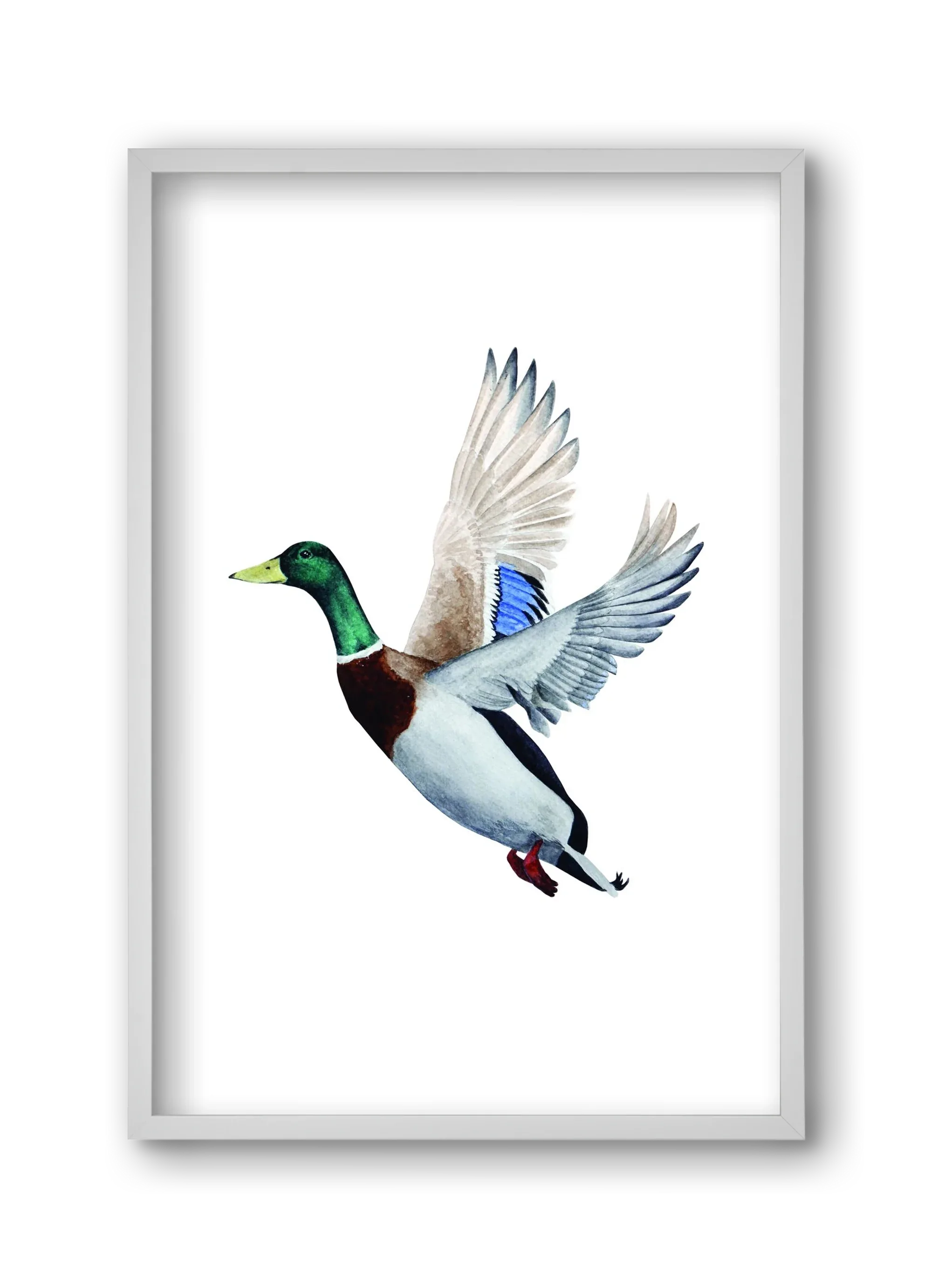 duck - artbridge