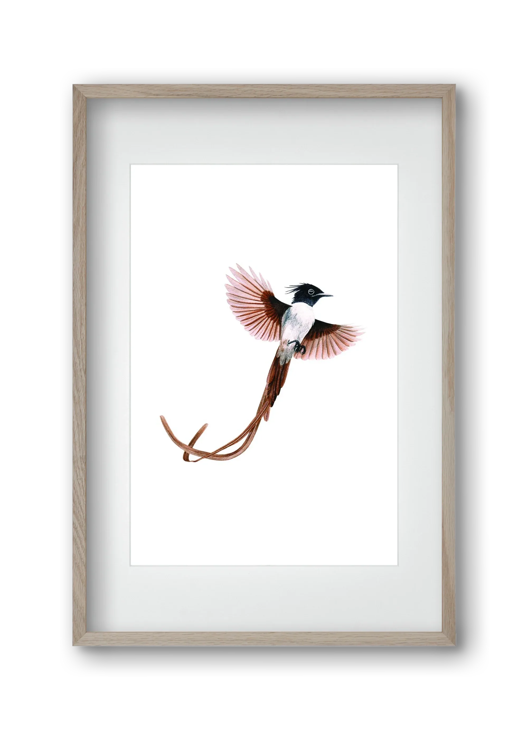 flycatcher - artbridge