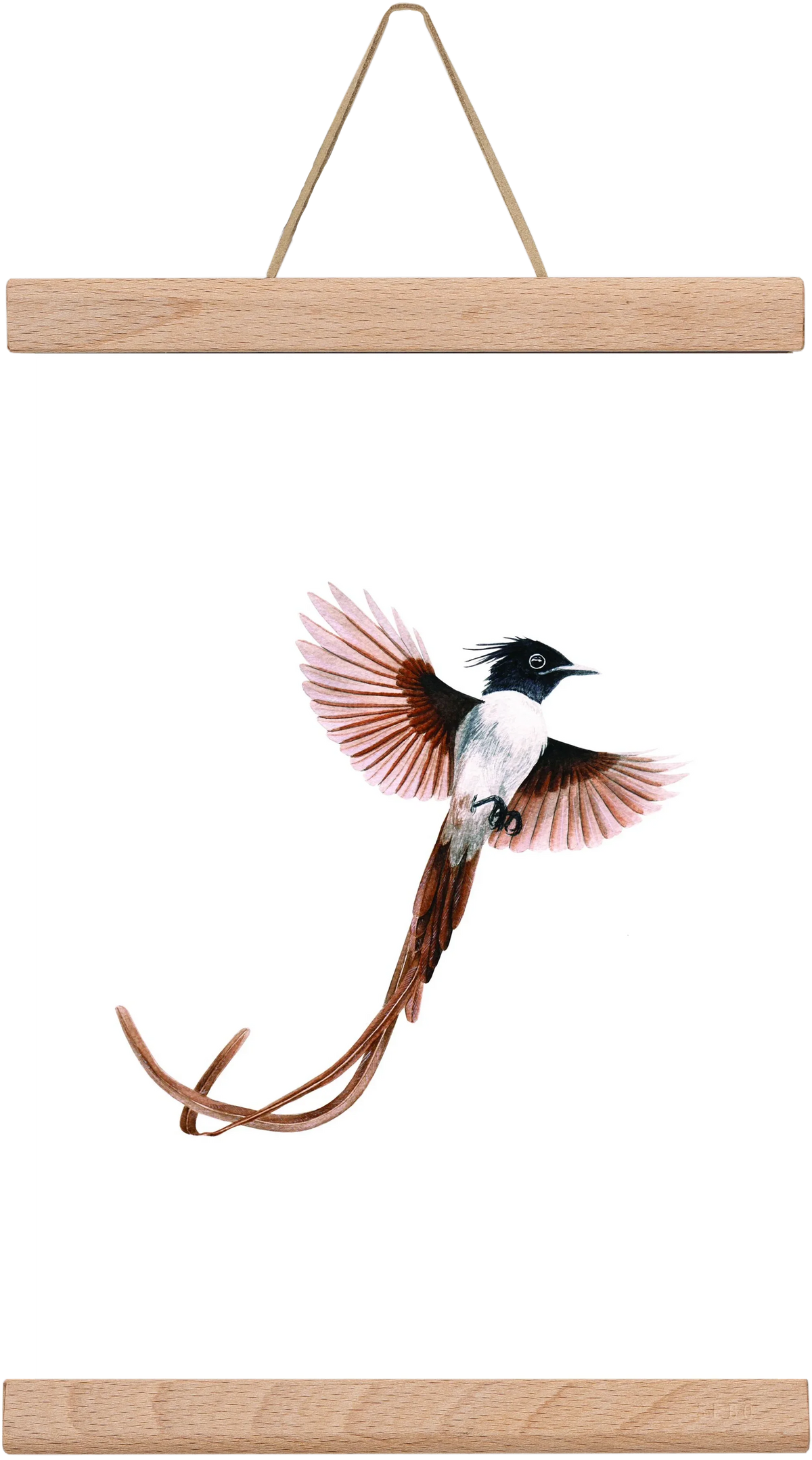 flycatcher - artbridge