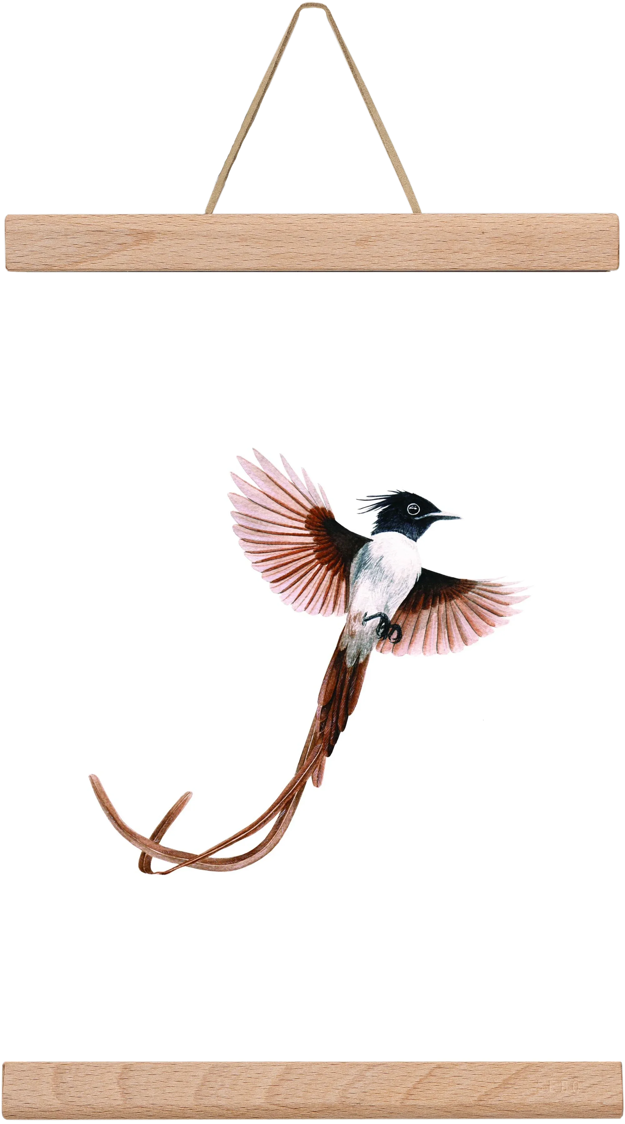 flycatcher - artbridge