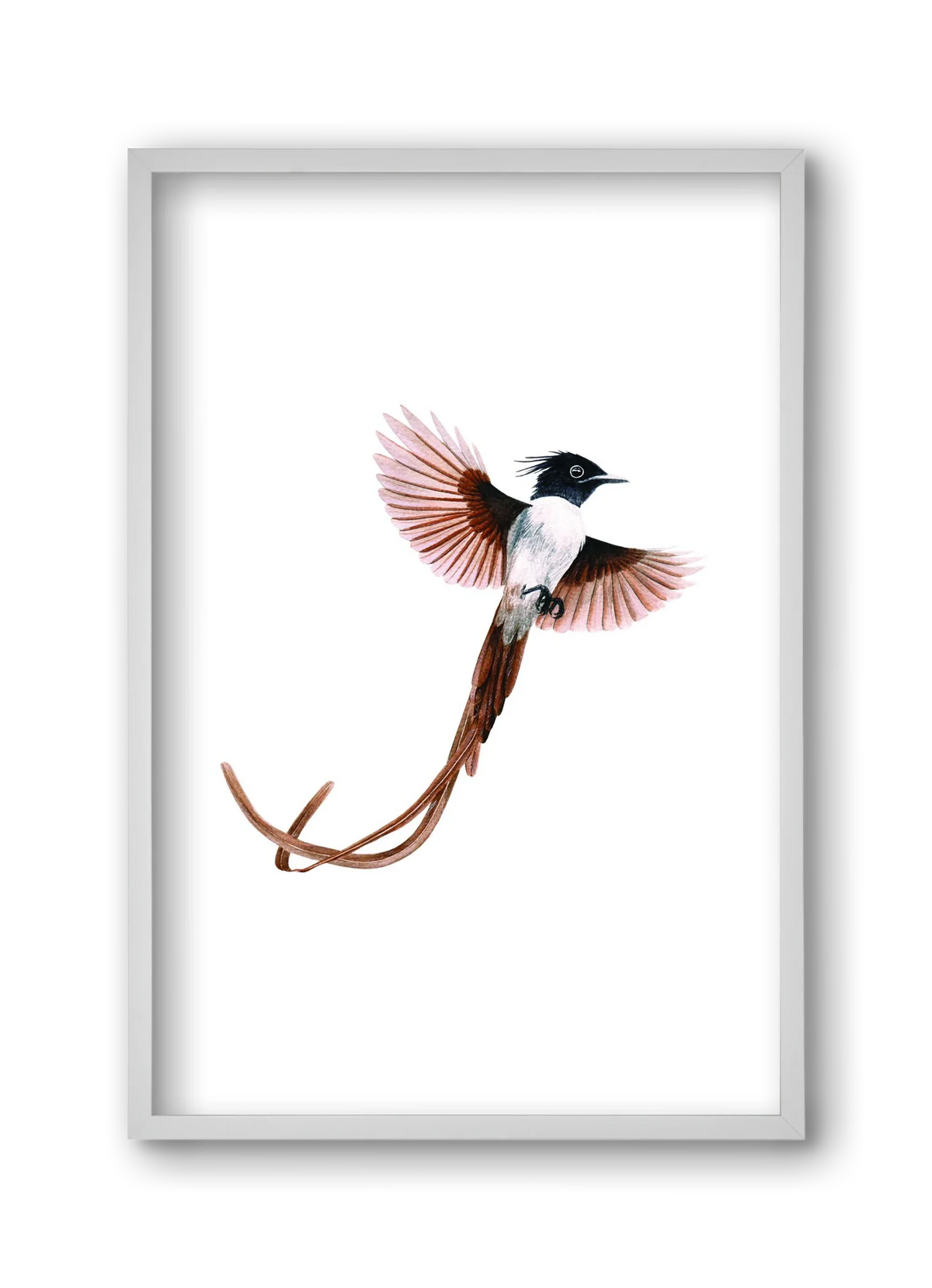 flycatcher - artbridge