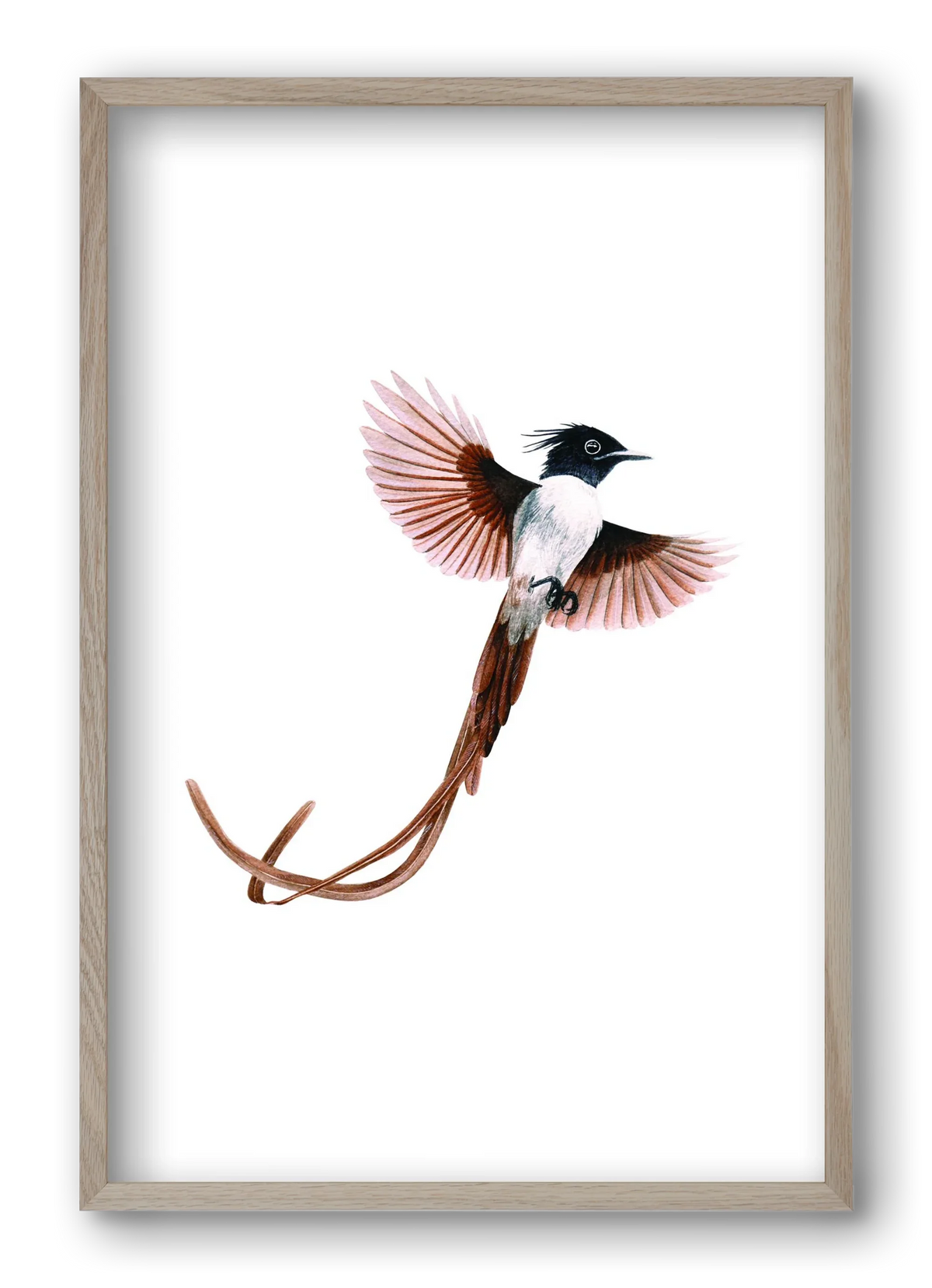 flycatcher - artbridge