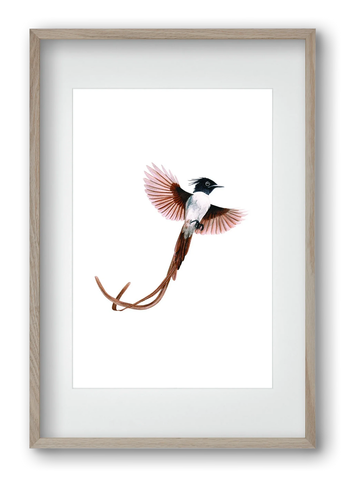 flycatcher - artbridge